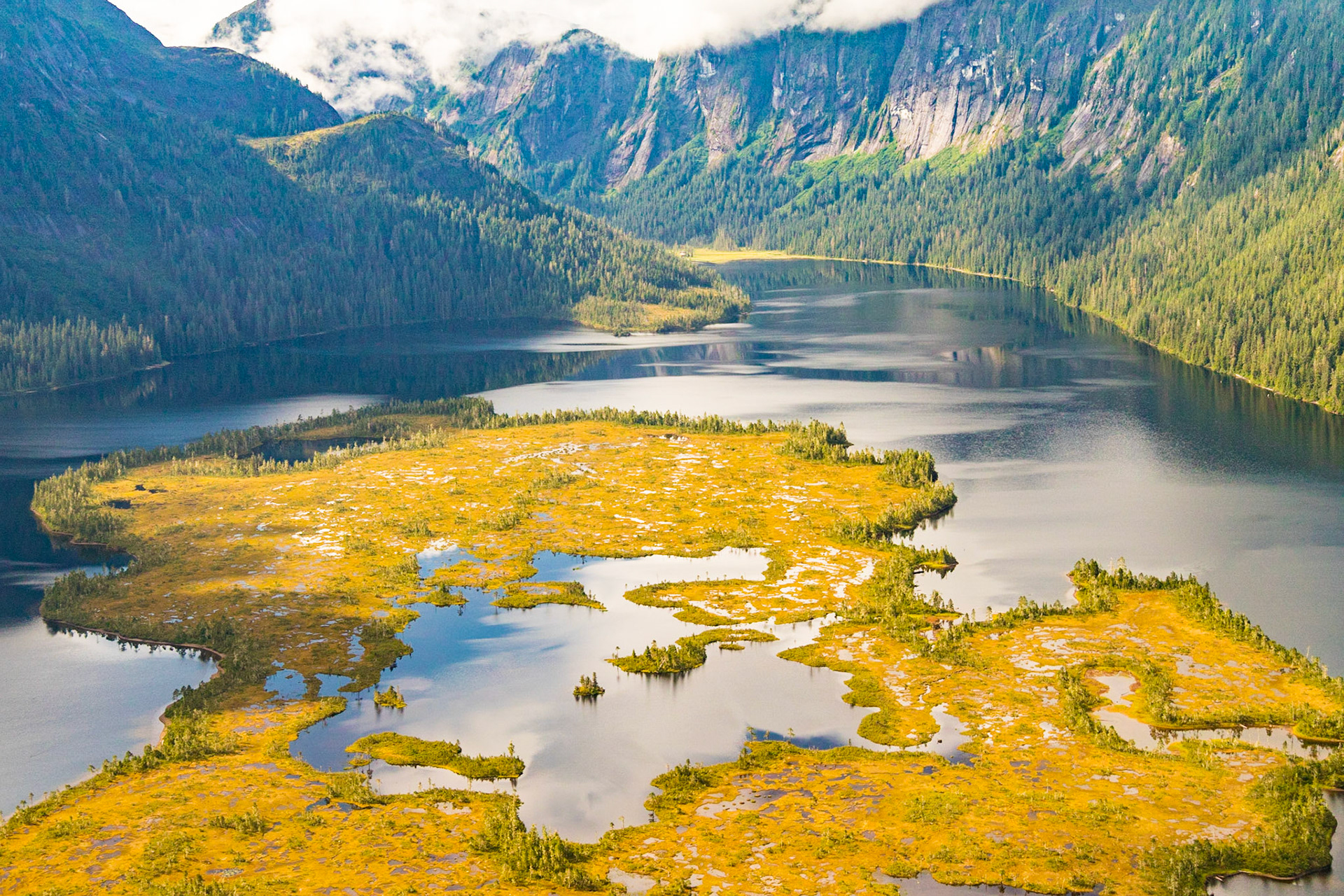 Alaska Inner Passage Cruise