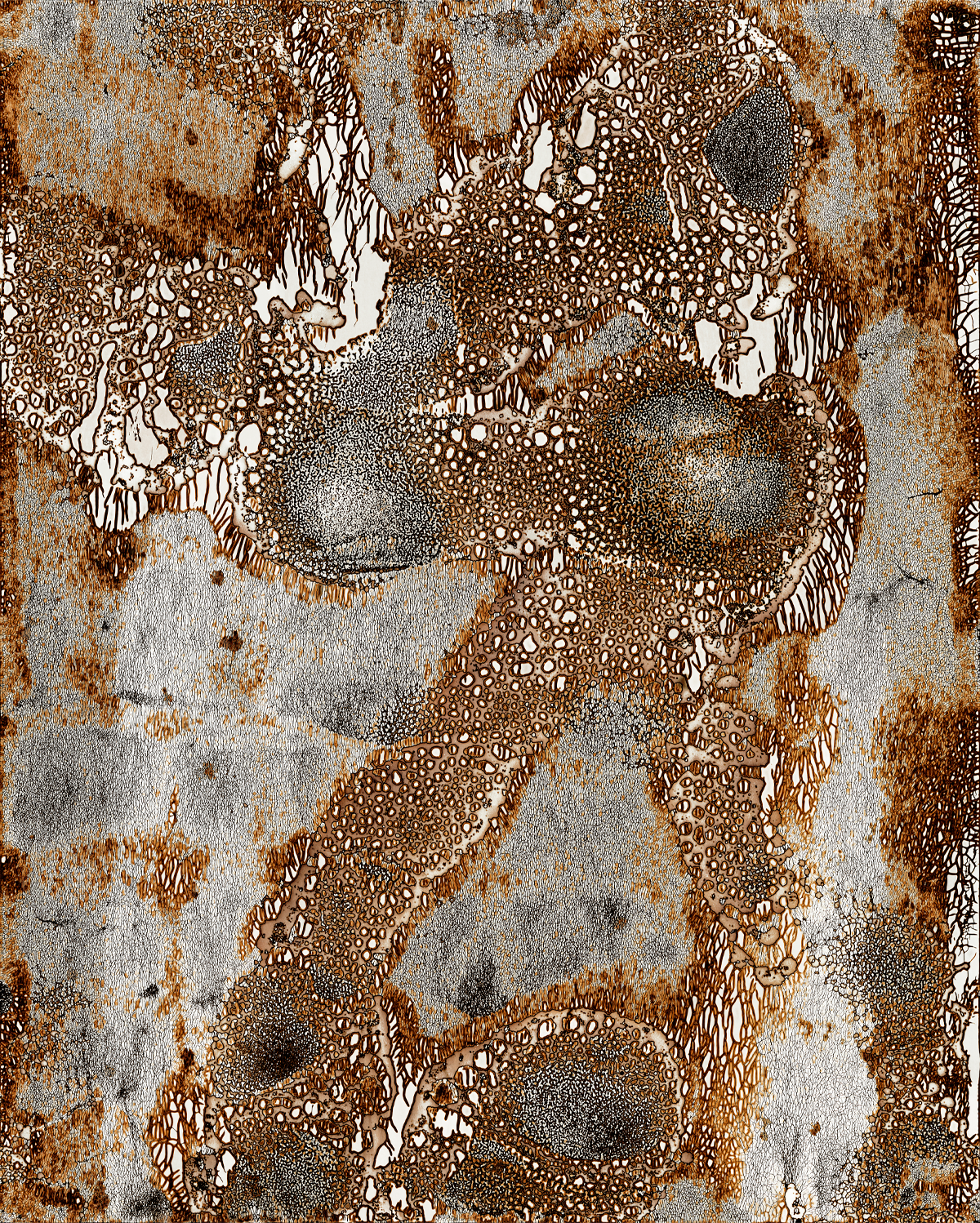 The Androgynous Universe, 40,07cm x 50cm, Chemigram, Gicleé