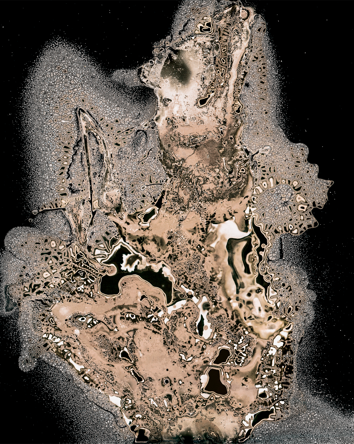 Wise Wonders, 40,17cm x 50cm, Chemigram, Gicleé