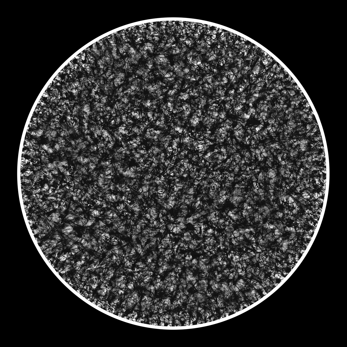 Fractures of Us, 40cm x 40cm, Photogram, Platinum Palladium.