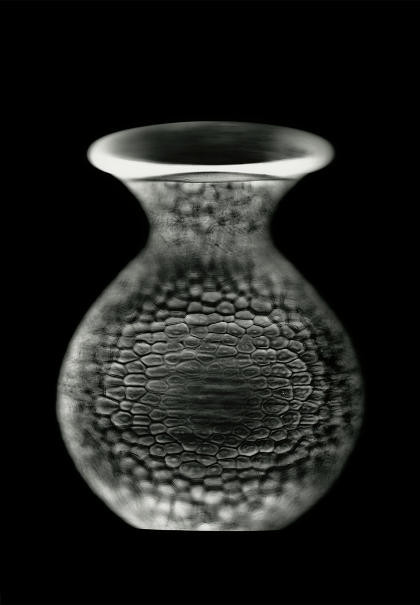 Photogram, Giclée