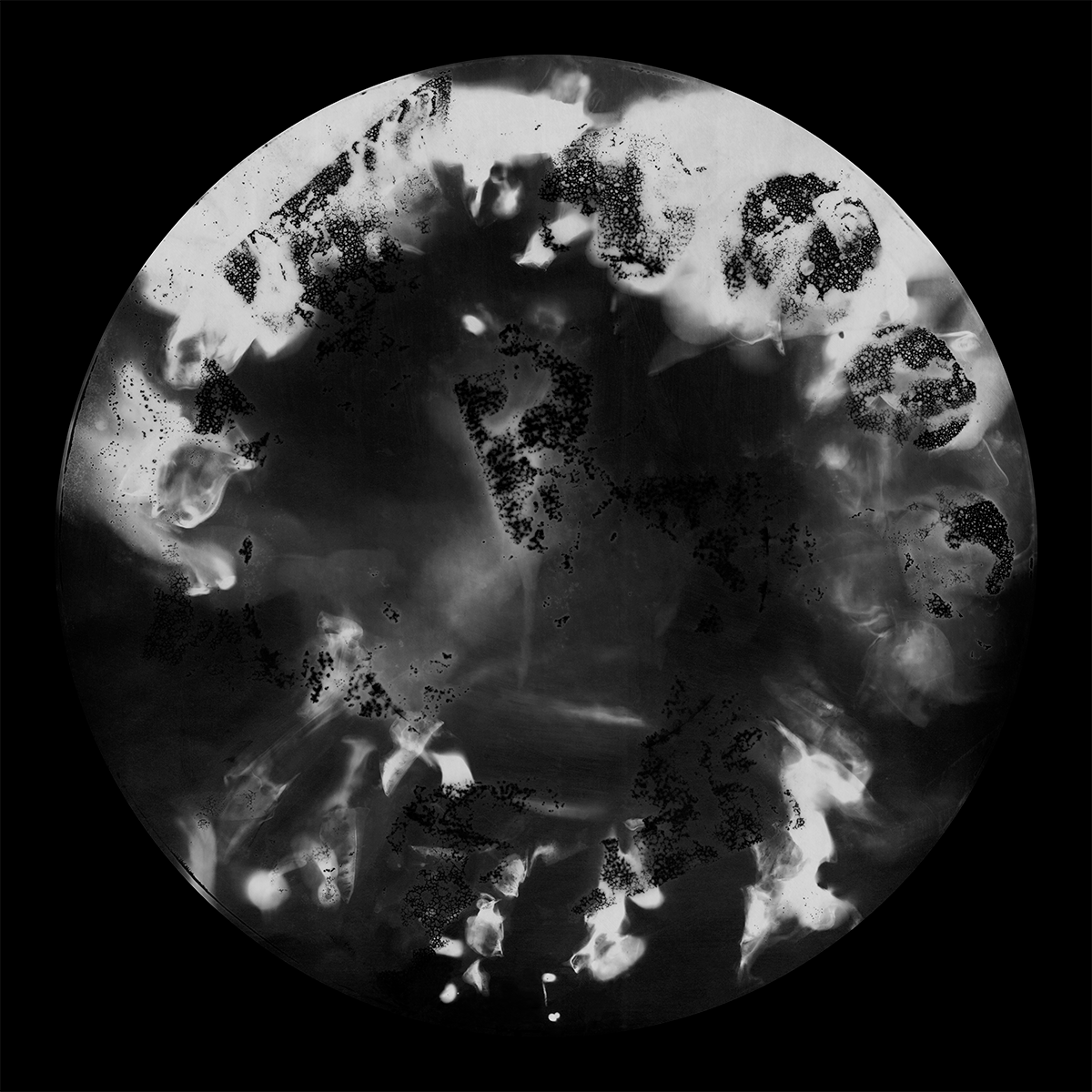 Heavenly Matter, 40cm x 40cm, Photogram, Platinum Palladium