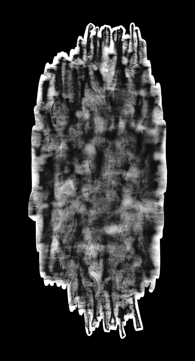 Weave and Spin, Photogram, Giclée