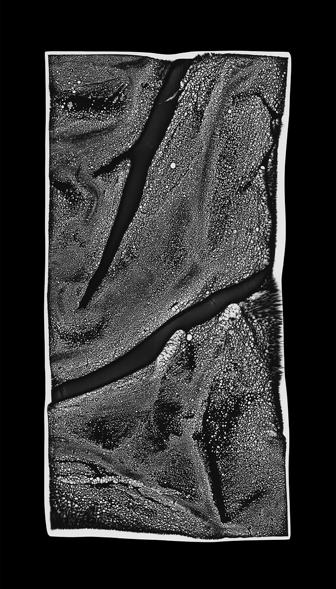 Photogram, Giclée