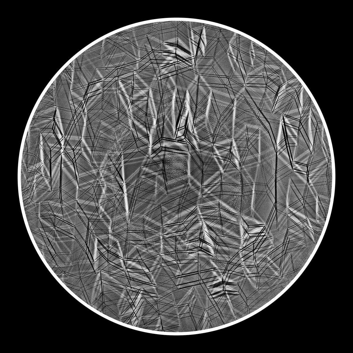 The Delicate Dance, 40cm x 40cm, Photogram, Platinum Palladium.