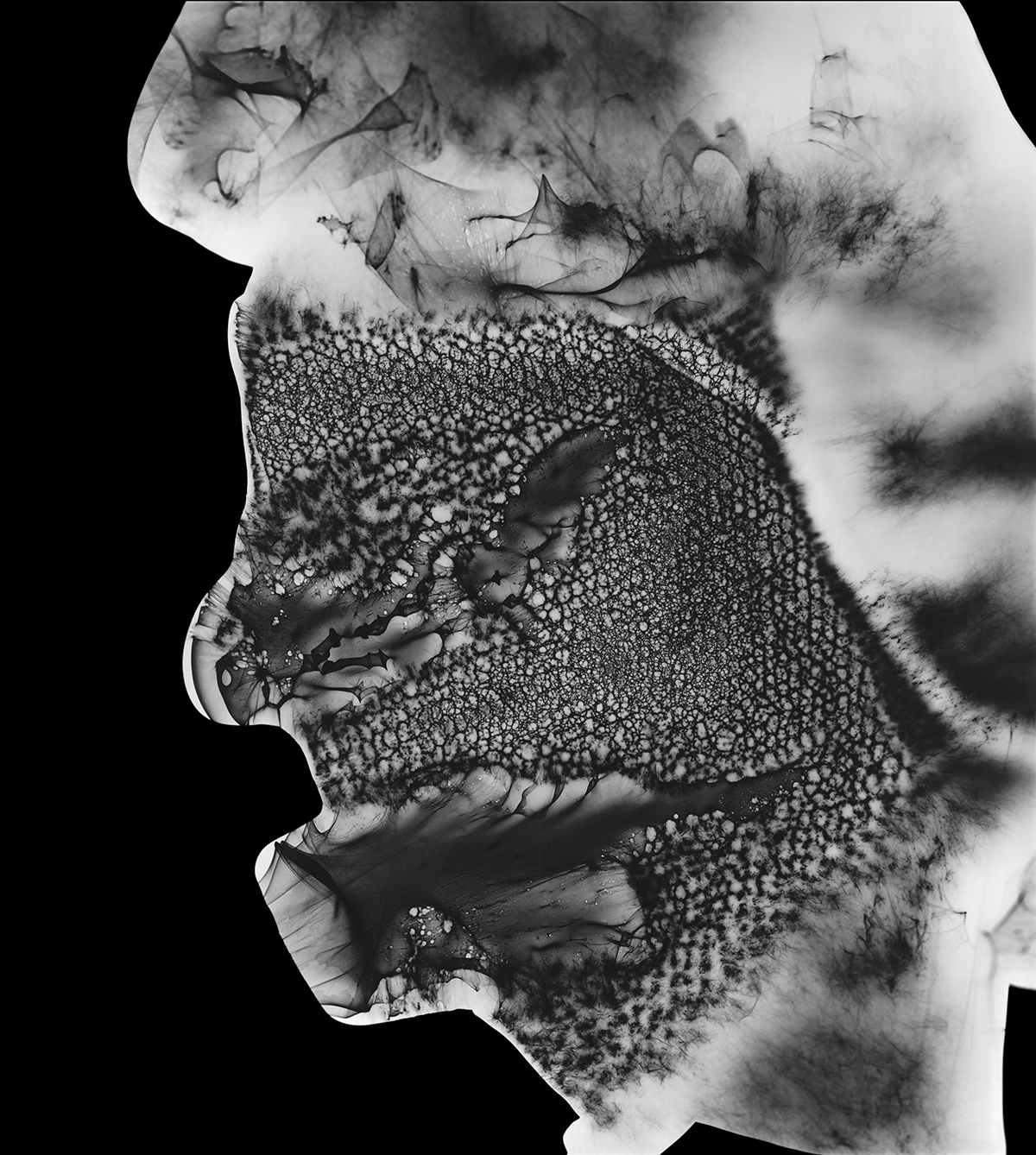 Photogram, Giclée