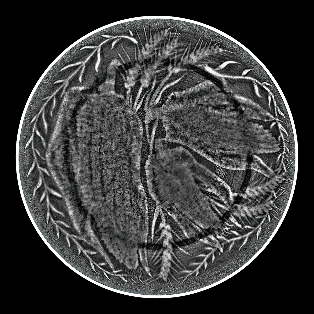 Synaptic Harvest, 40cm x 40cm, Photogram, Platinum Palladium.