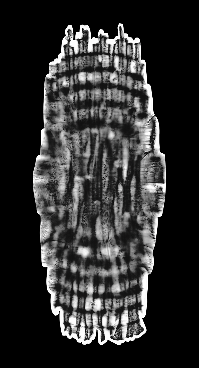 Spiral Dance, Photogram, Giclée