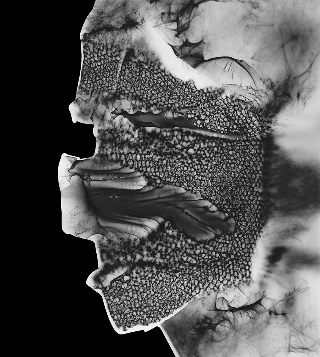 Photogram, Giclée