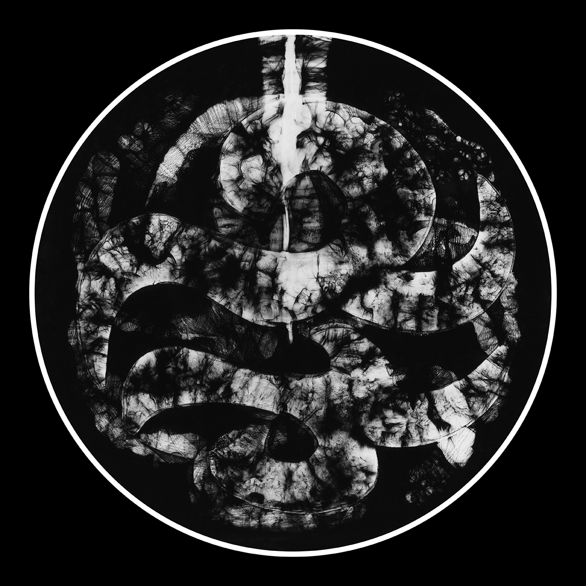 Chasing Shadows, 40cm x 40cm, Photogram, Platinum Palladium.