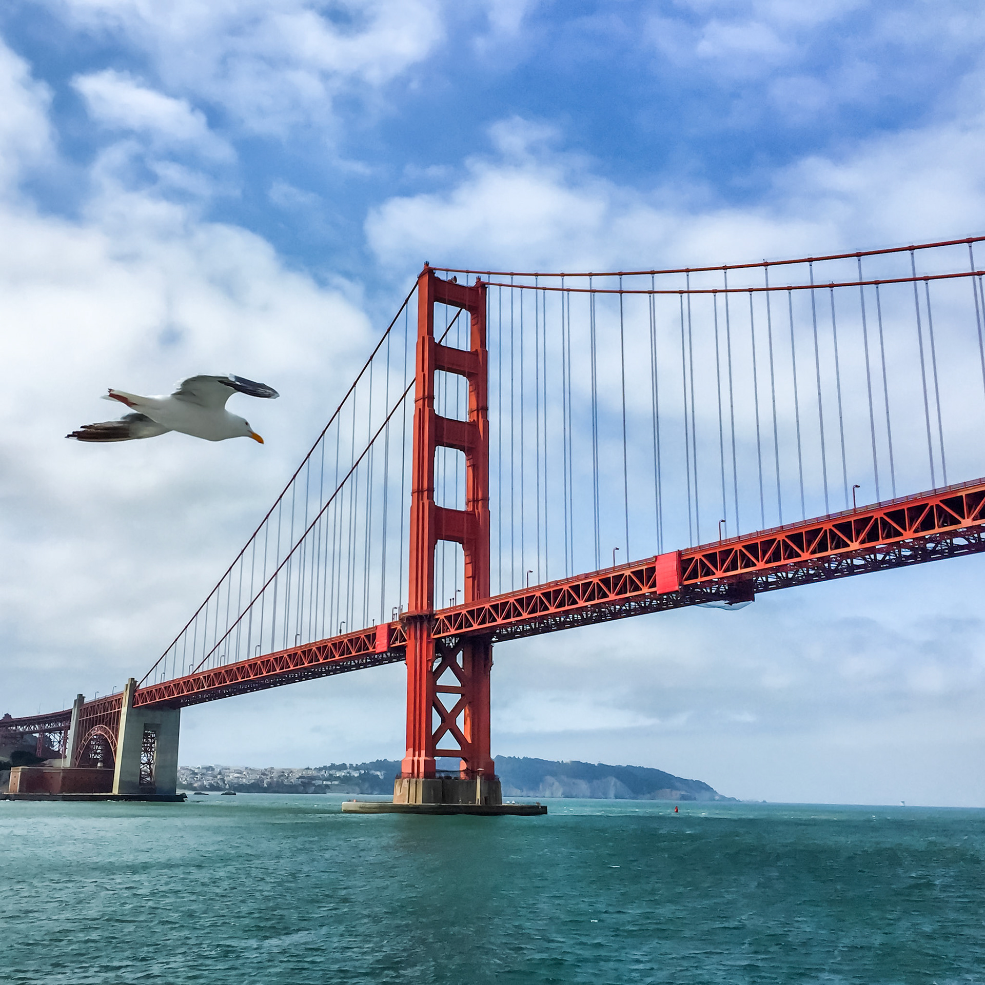 The Seagull | San Francisco, USA