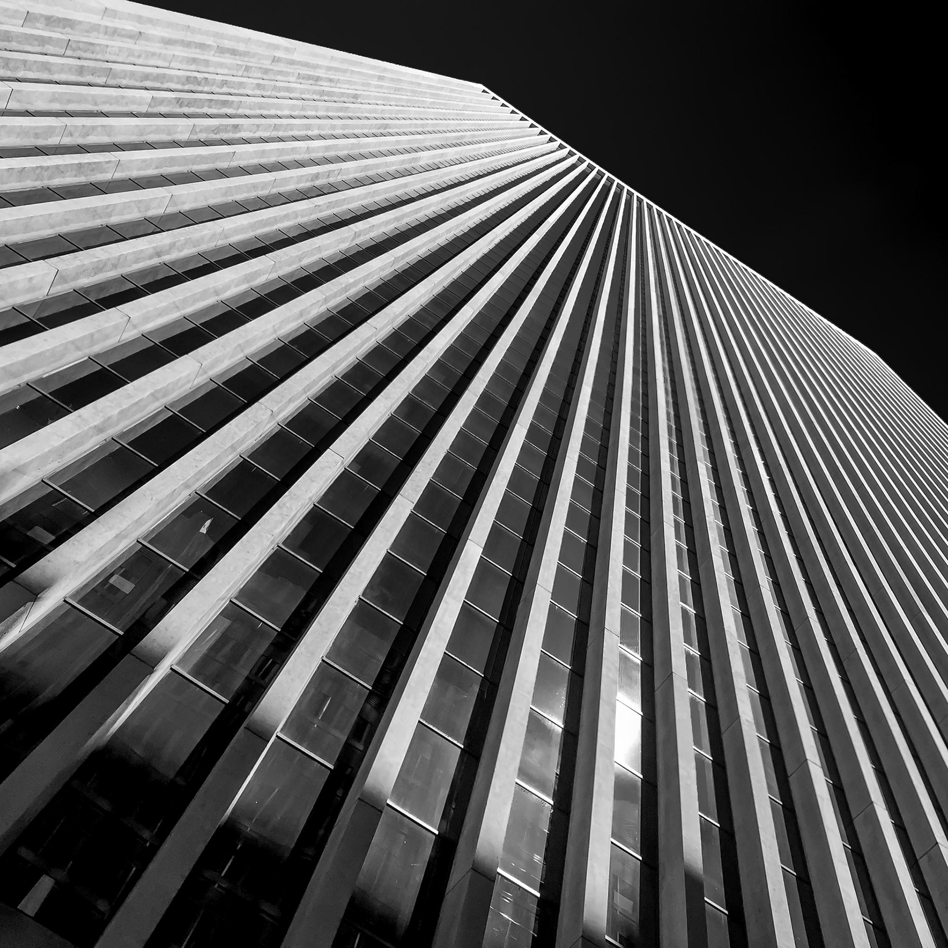 Lines | San Francisco, United States