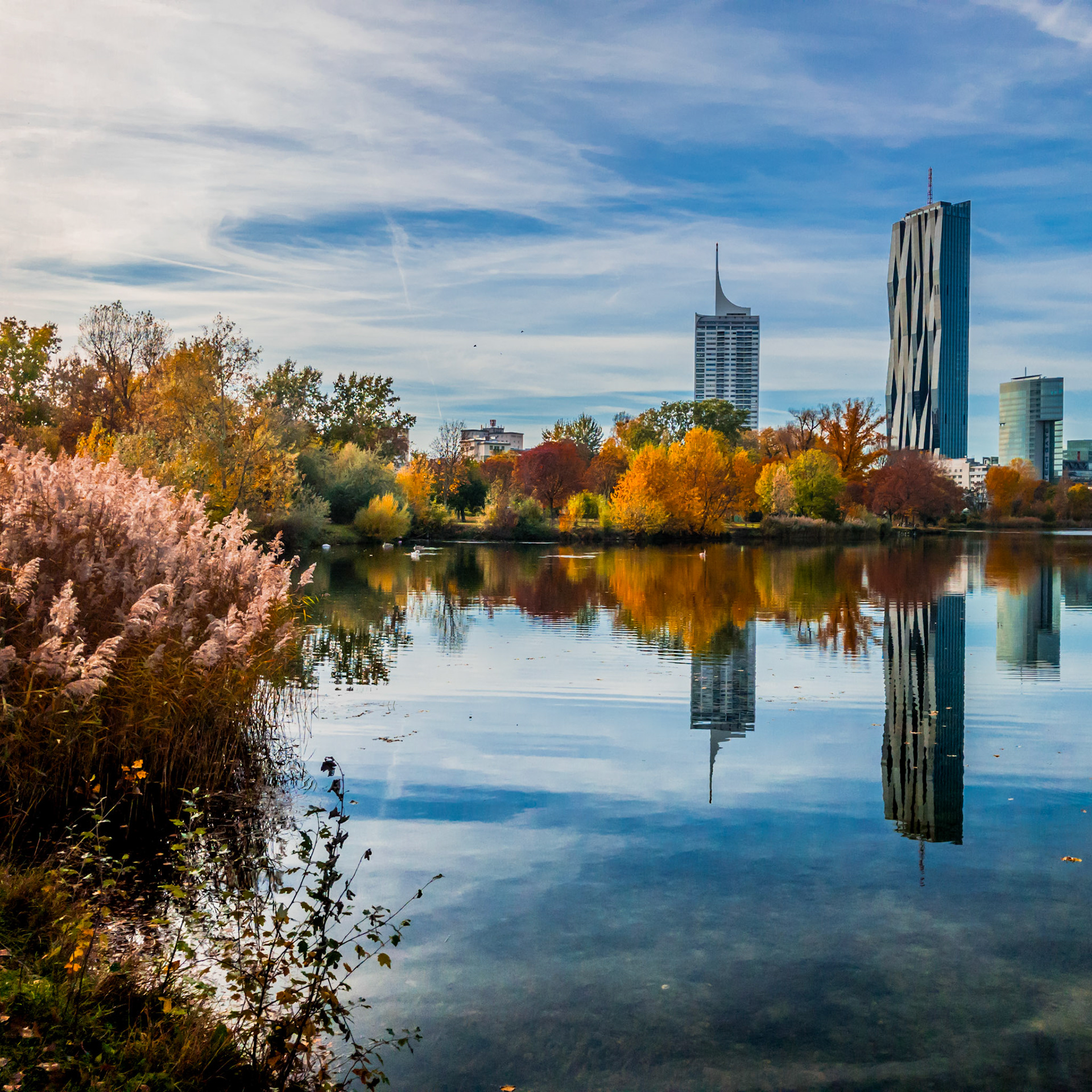 One of my favorite views in Vienna. It has everything: Water, Architecture, Nature and reflections.