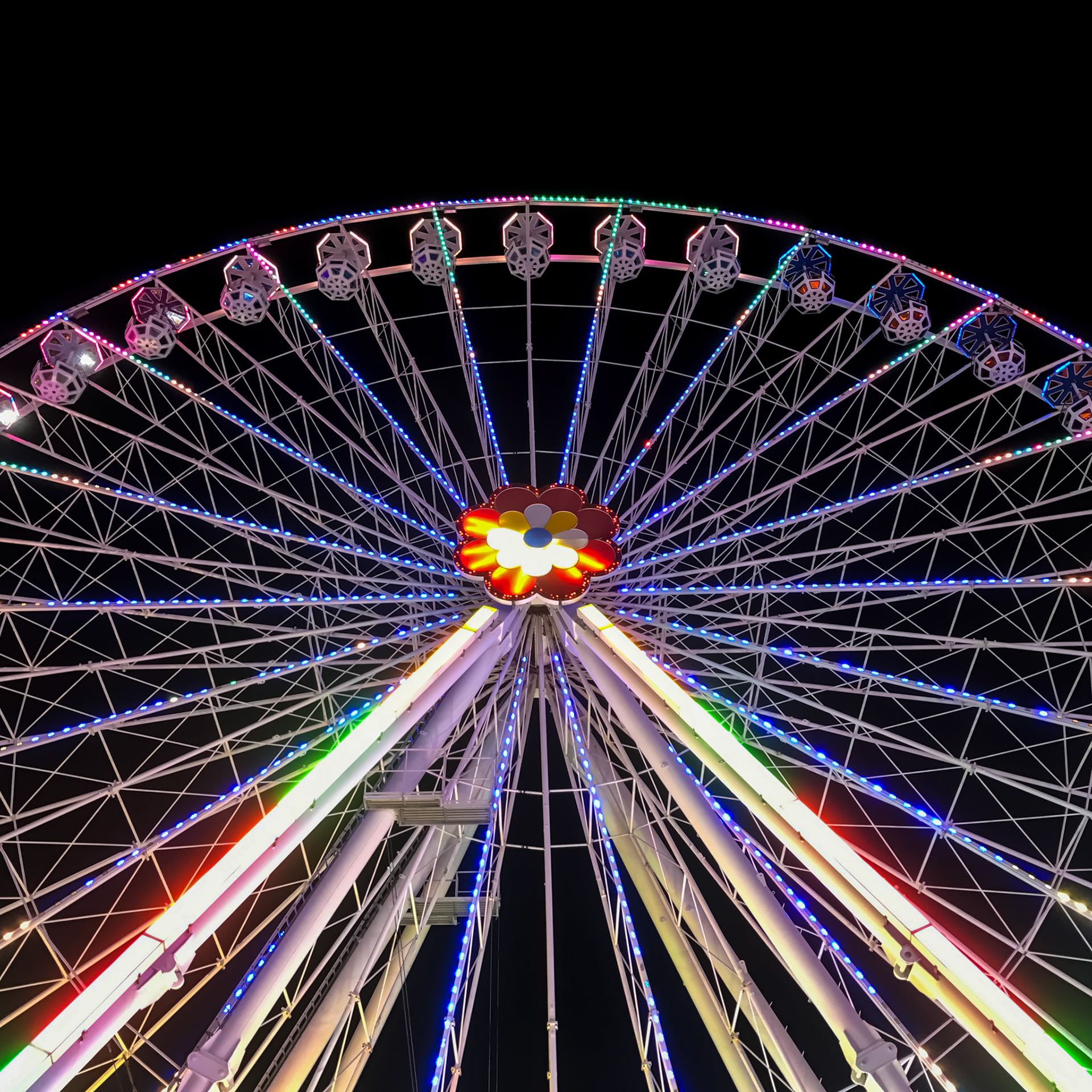 Flower Wheel | Vienna, Austria