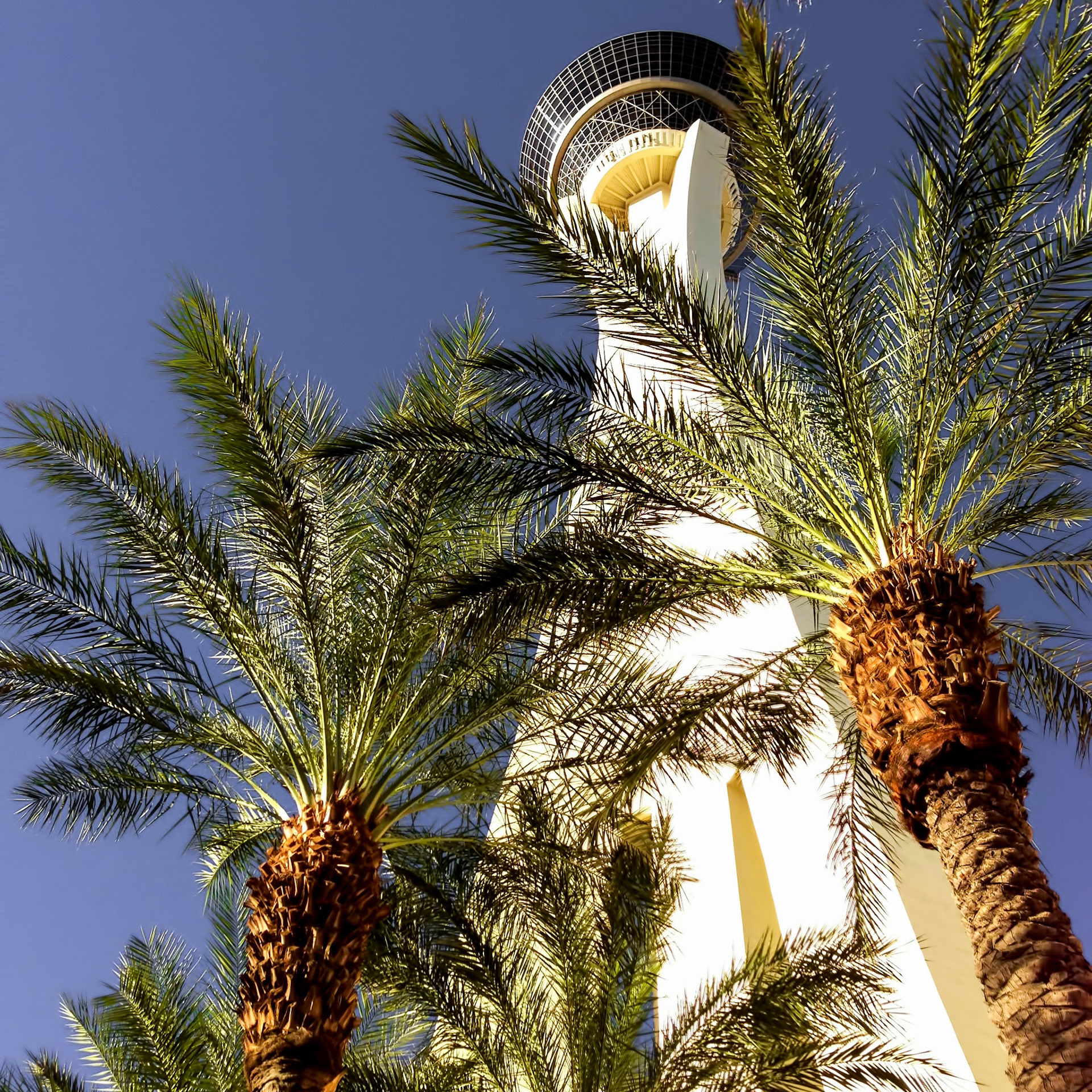 If you want to experience a stunning view over Las Vegas, get up that tower. But be prepared to leave your gear, especially tripods, at the entrance. At least in 2012, they wouldn't allow me to take it up to the plattform.