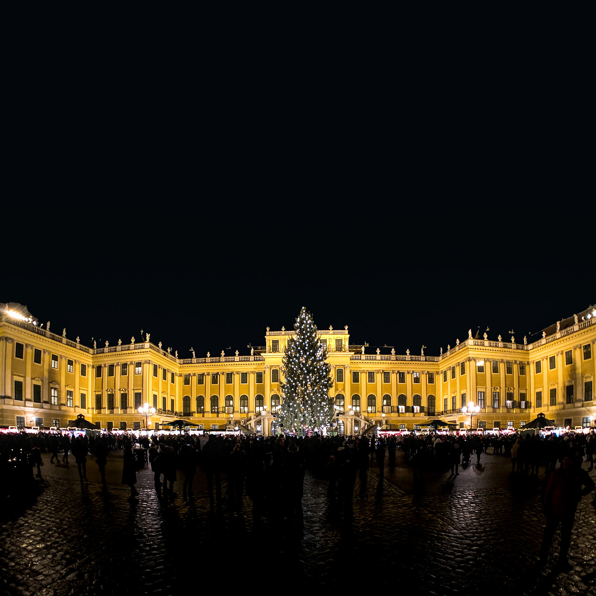 The huge Christmas Tree at Schönbrunn Palace. Shot using Moment 14mm Fisheye Lens