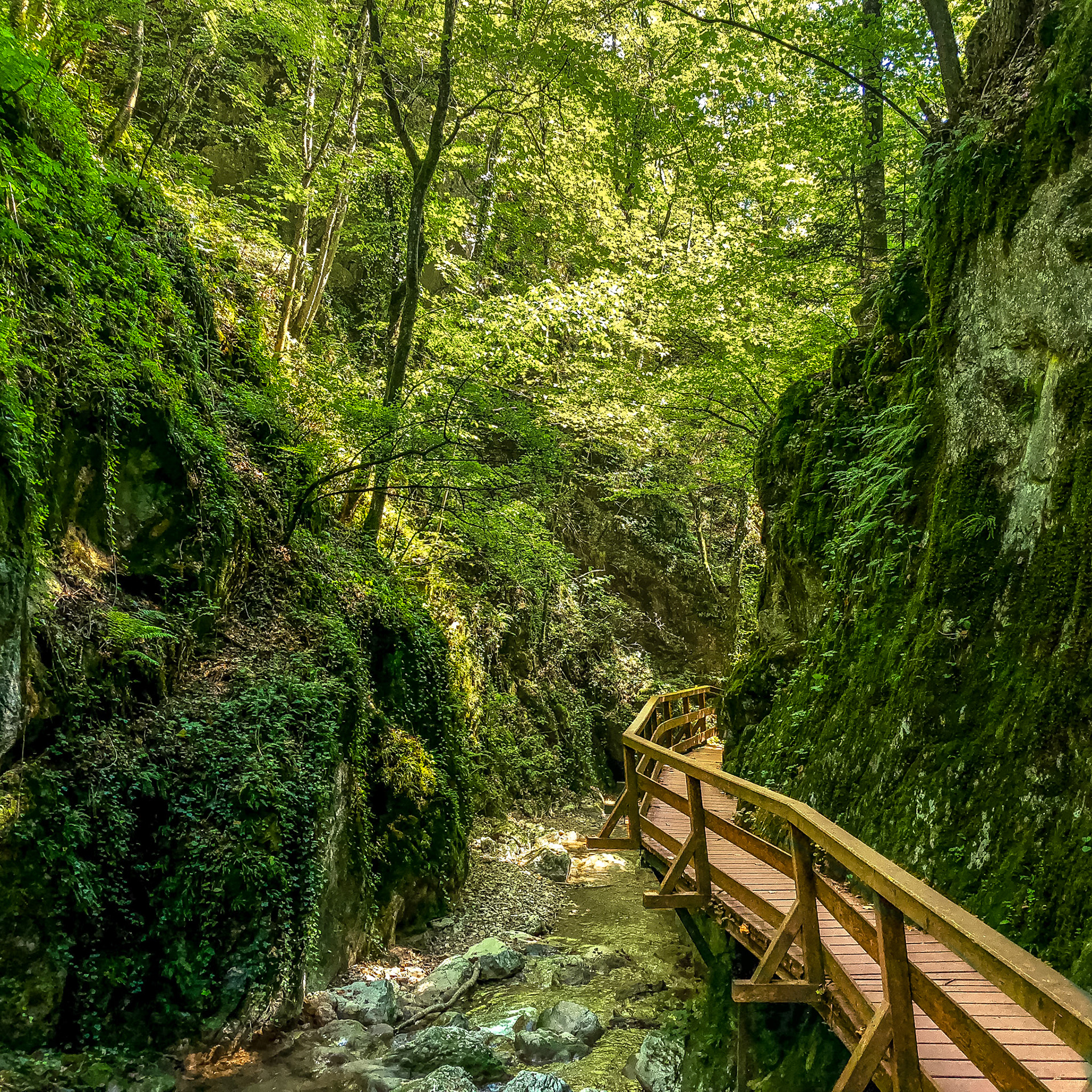 What’s better on a hot summer day than hiking in a shadowy gorge? Johannesbachklamm near Vienna is such a place I recommend for a hike on a hot summer day.