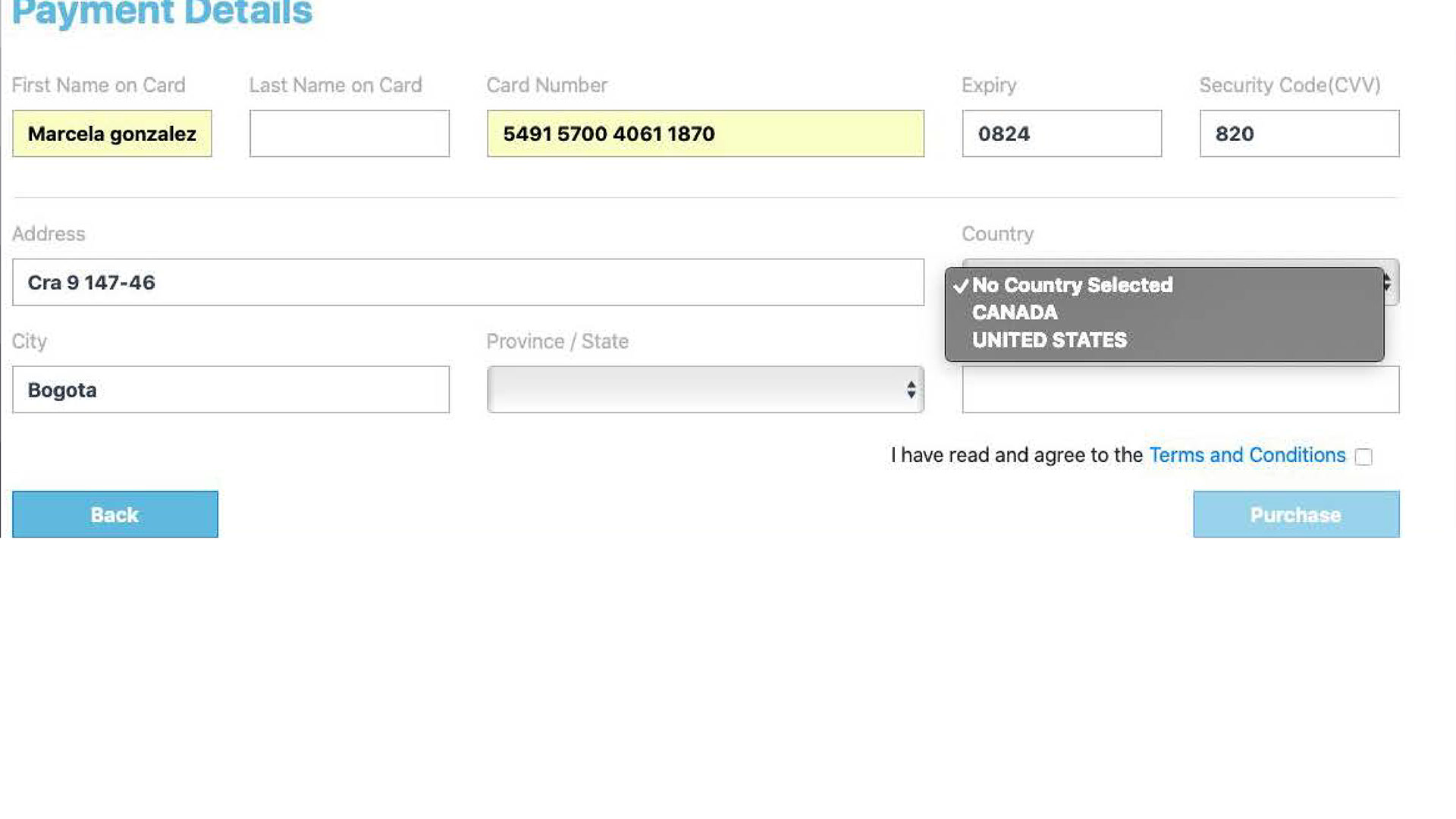 Only USA or Canadian credit cards can be used