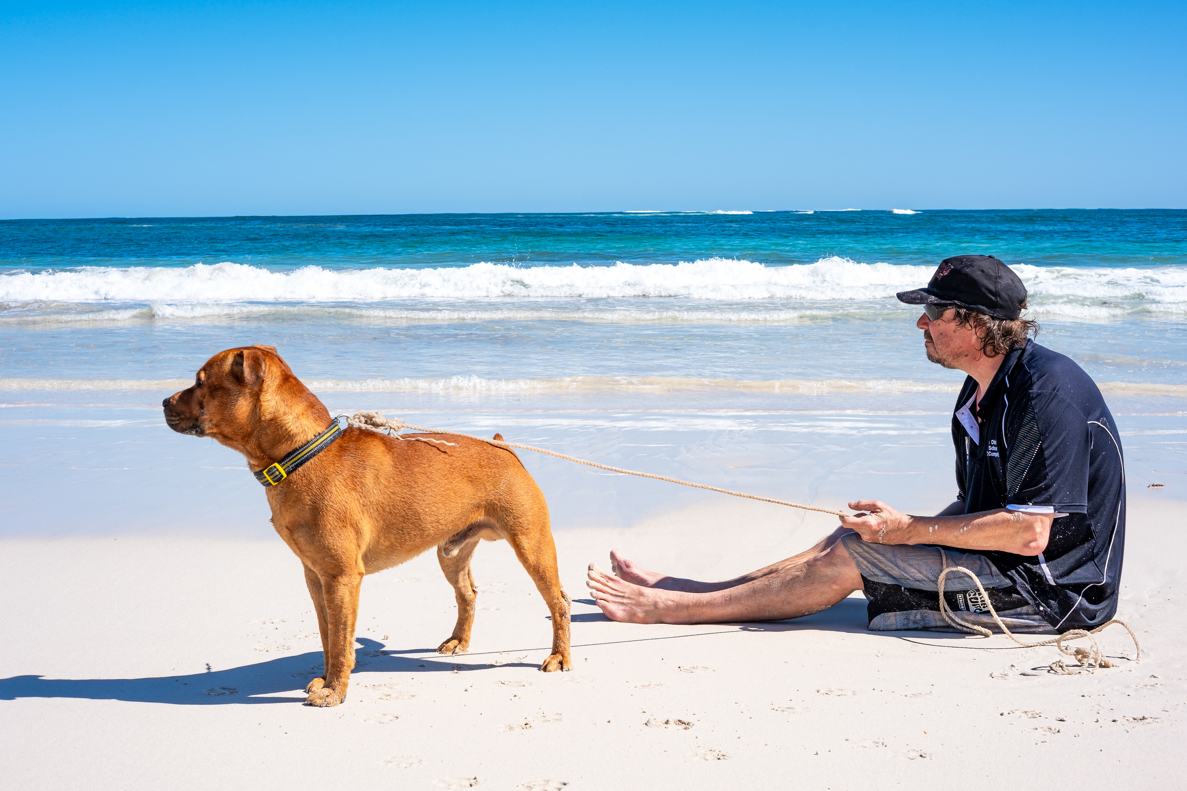 Sunset dog portrait on Lancelin Beach with a local and his cool staffy.