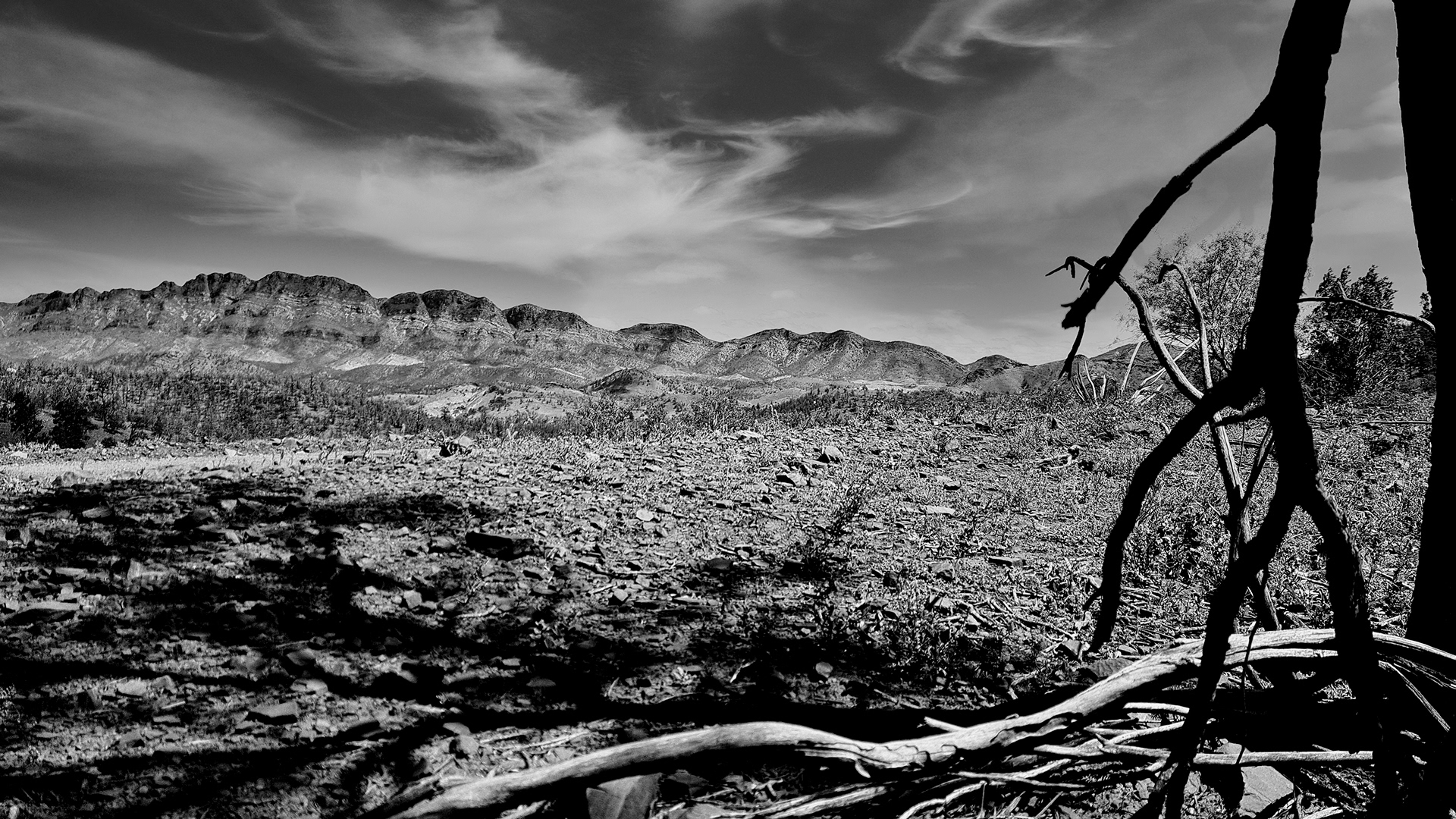 Flinders Ranges, South Australia
