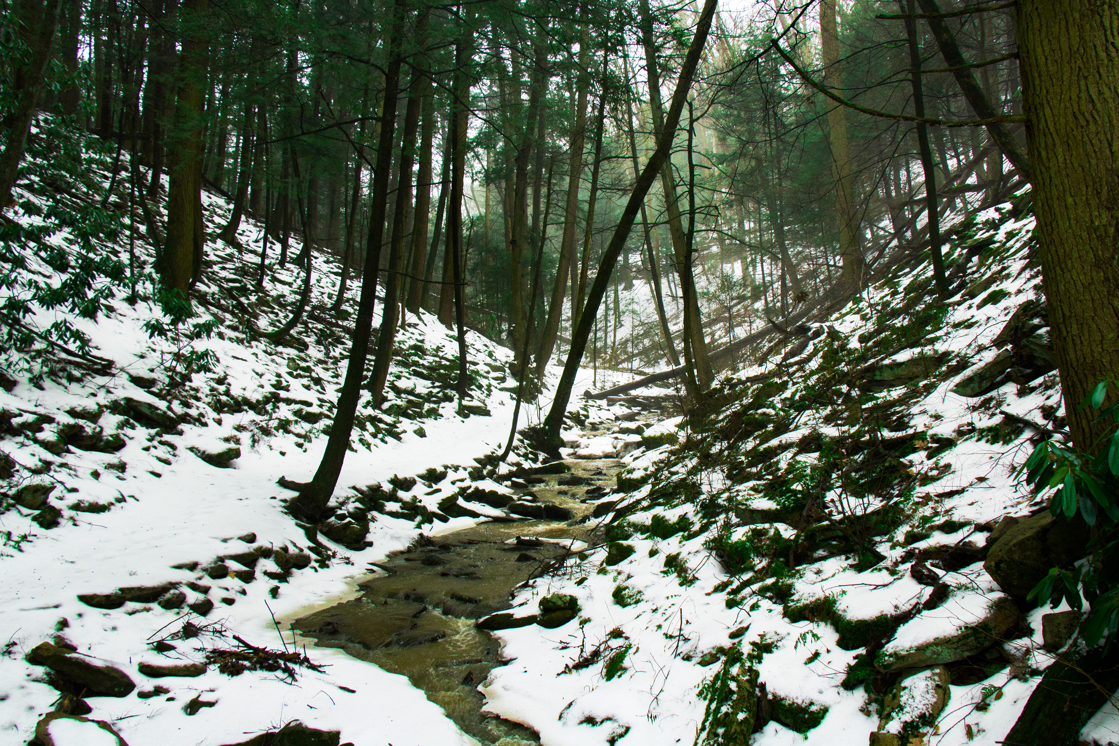 Small Creek