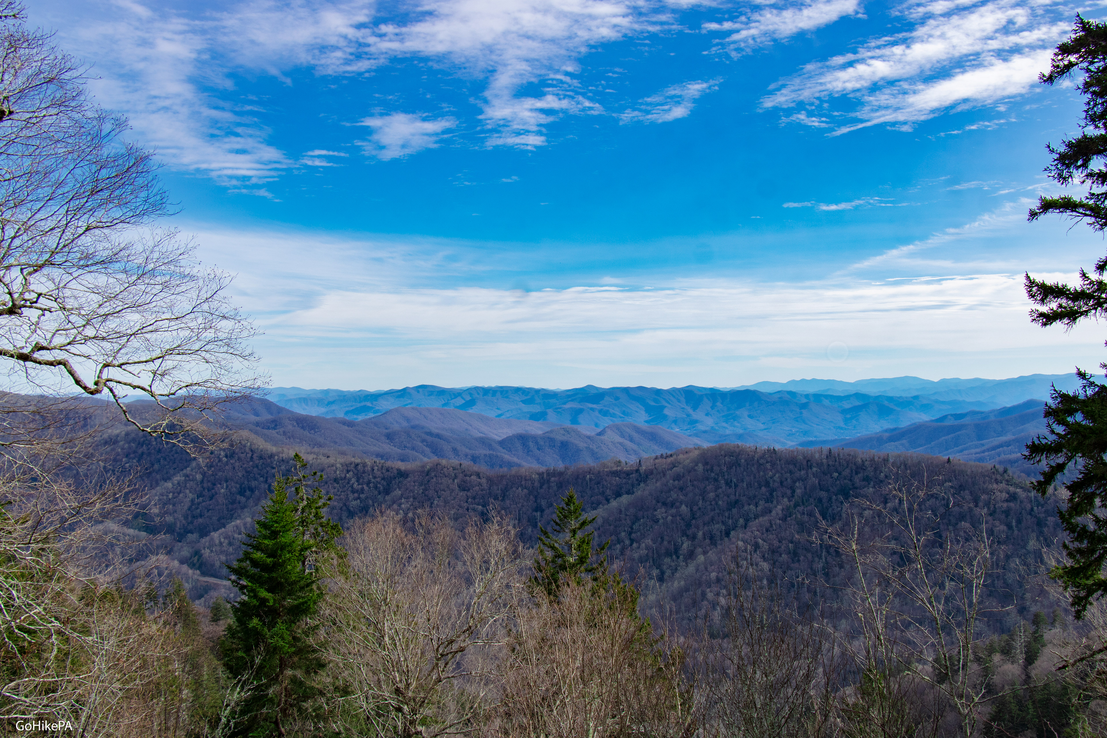 Newfound gap lookout