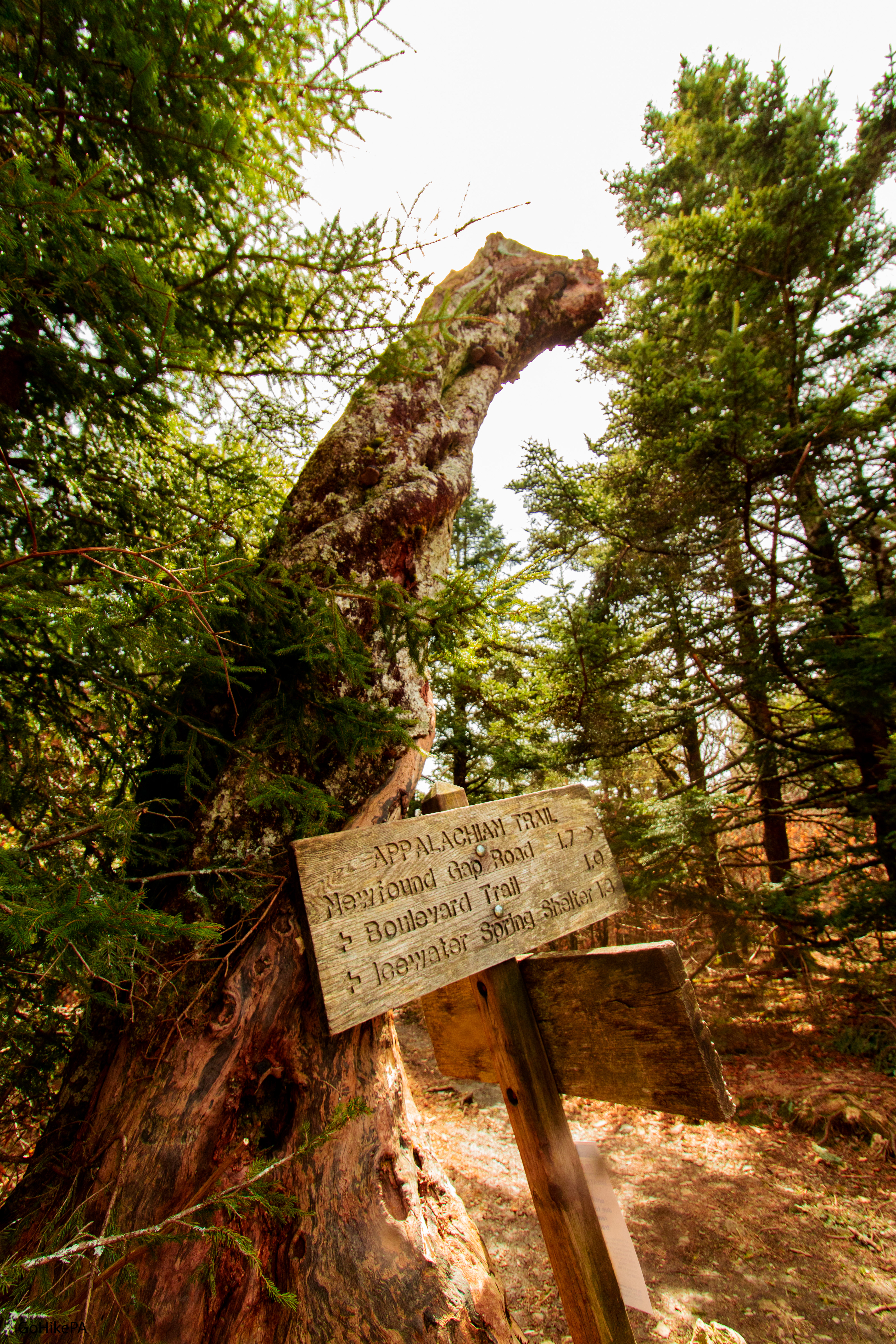Appalachian trail crossroads