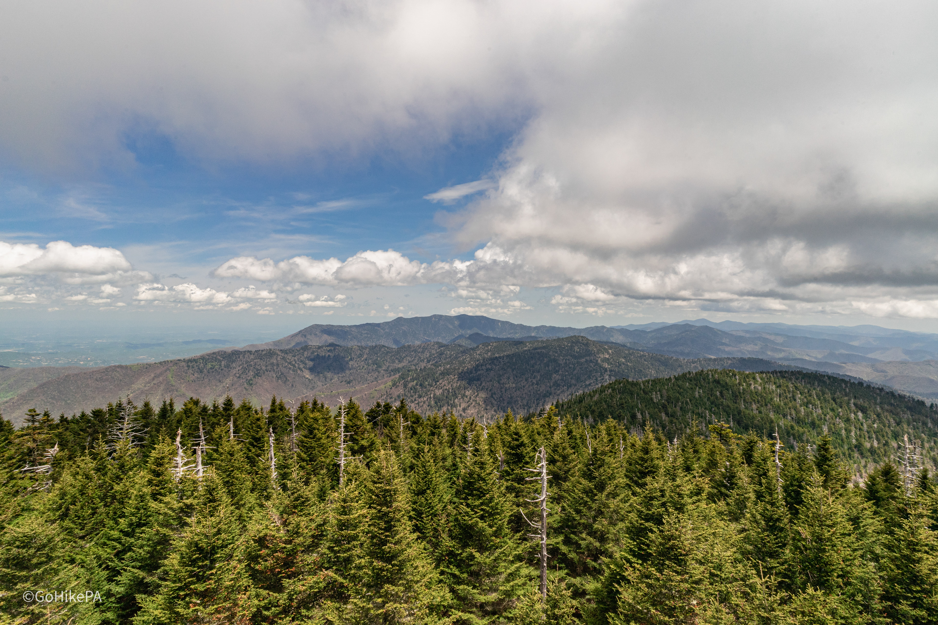 View from Clingmans Dome