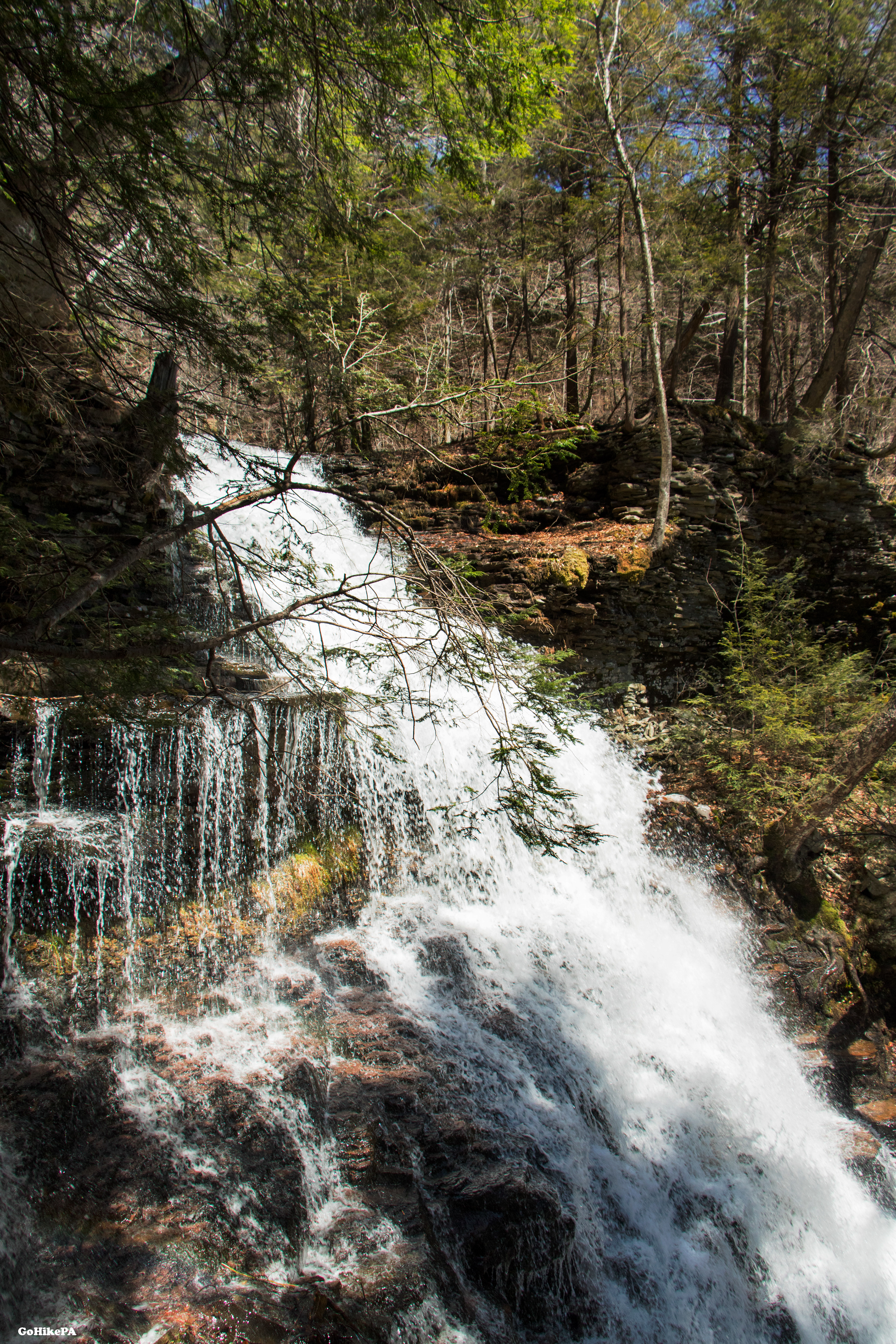 Ganoga Falls