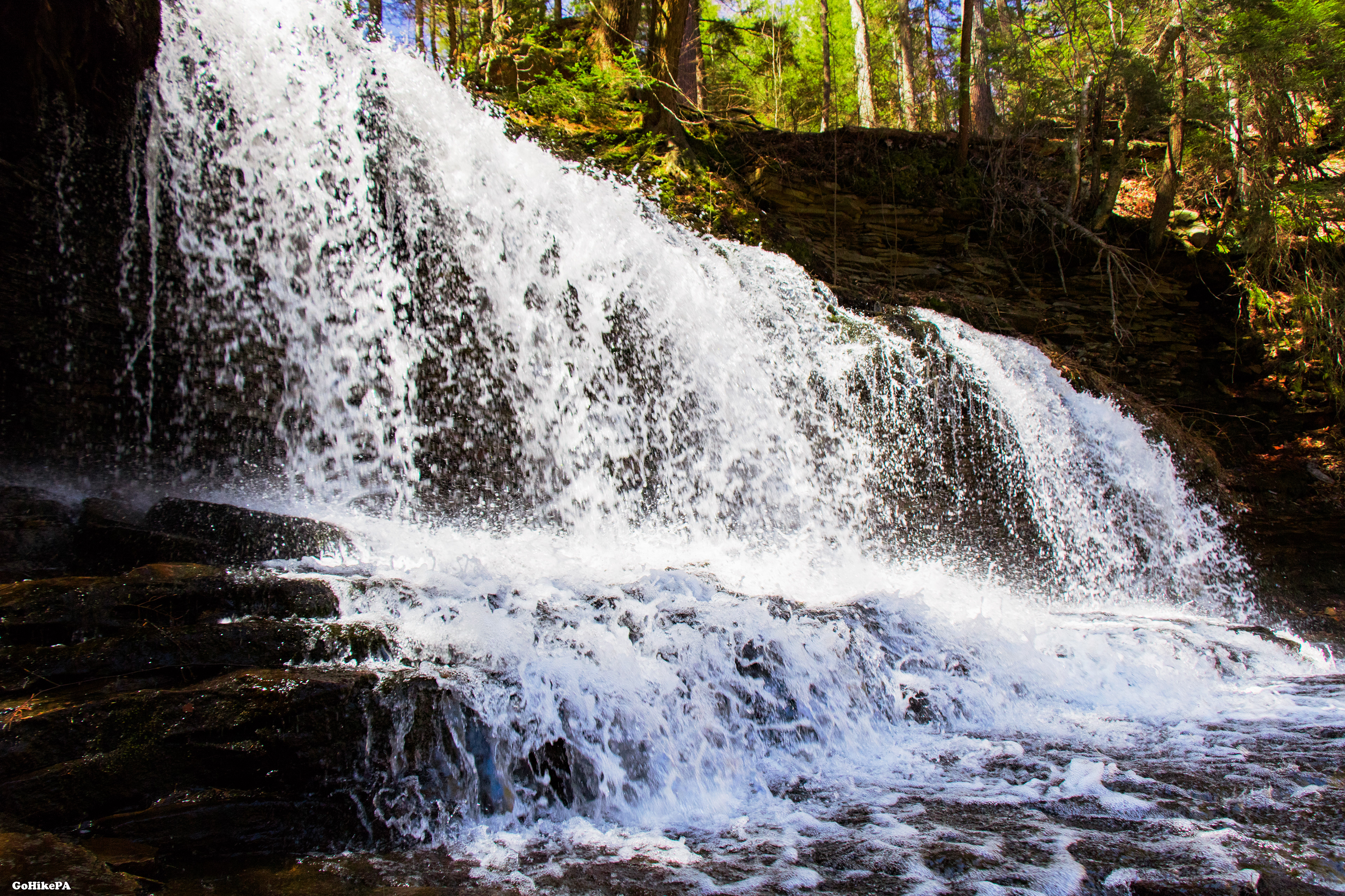 Cayuga Falls