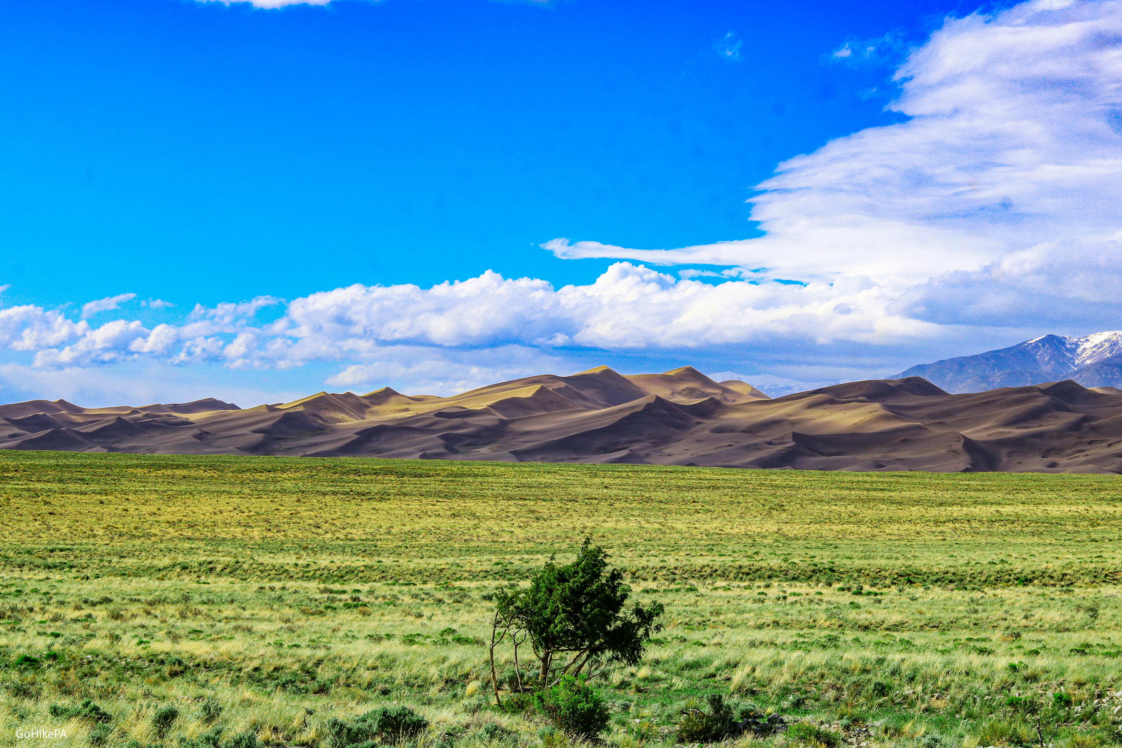Sand Dunes
