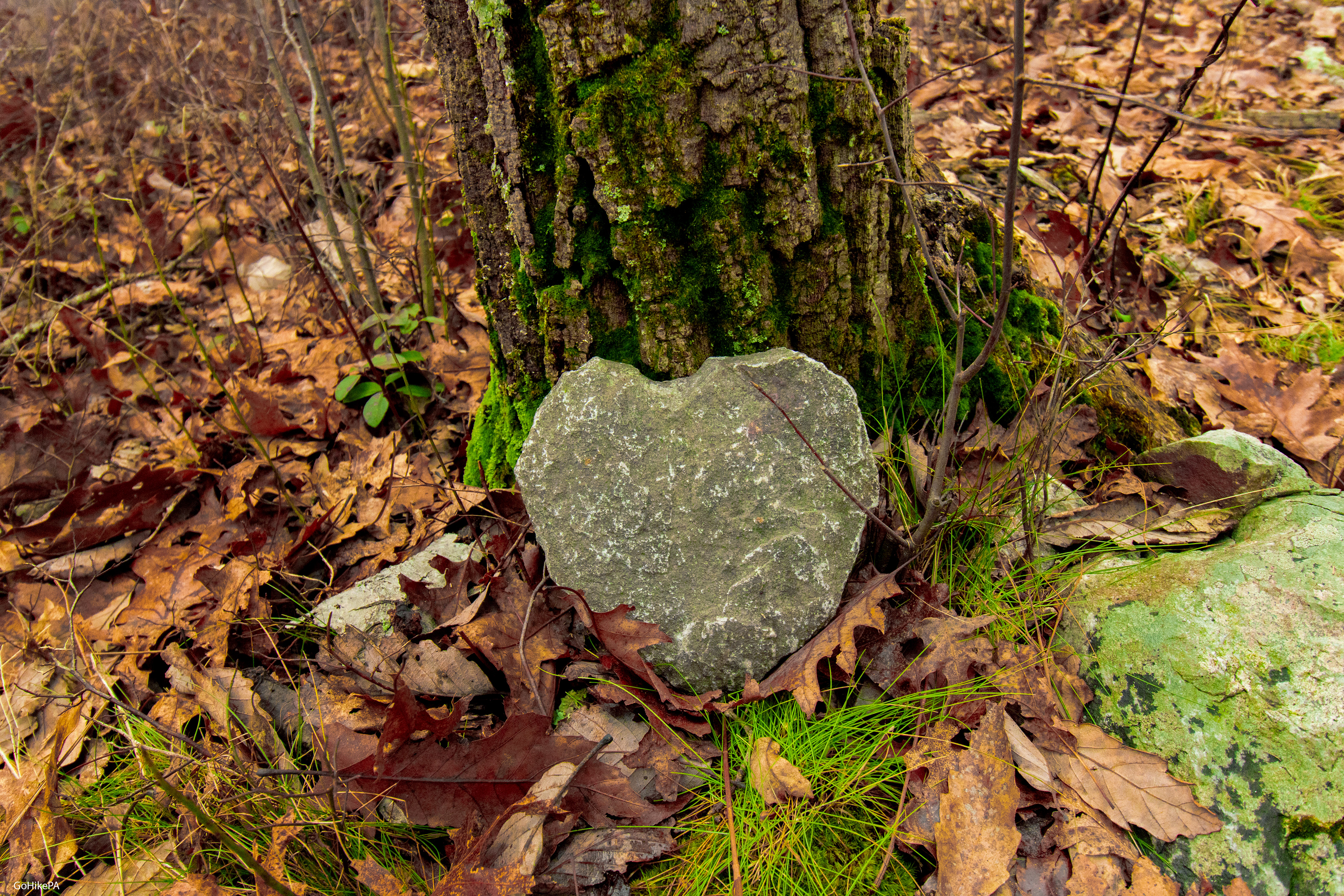 Heart Rock