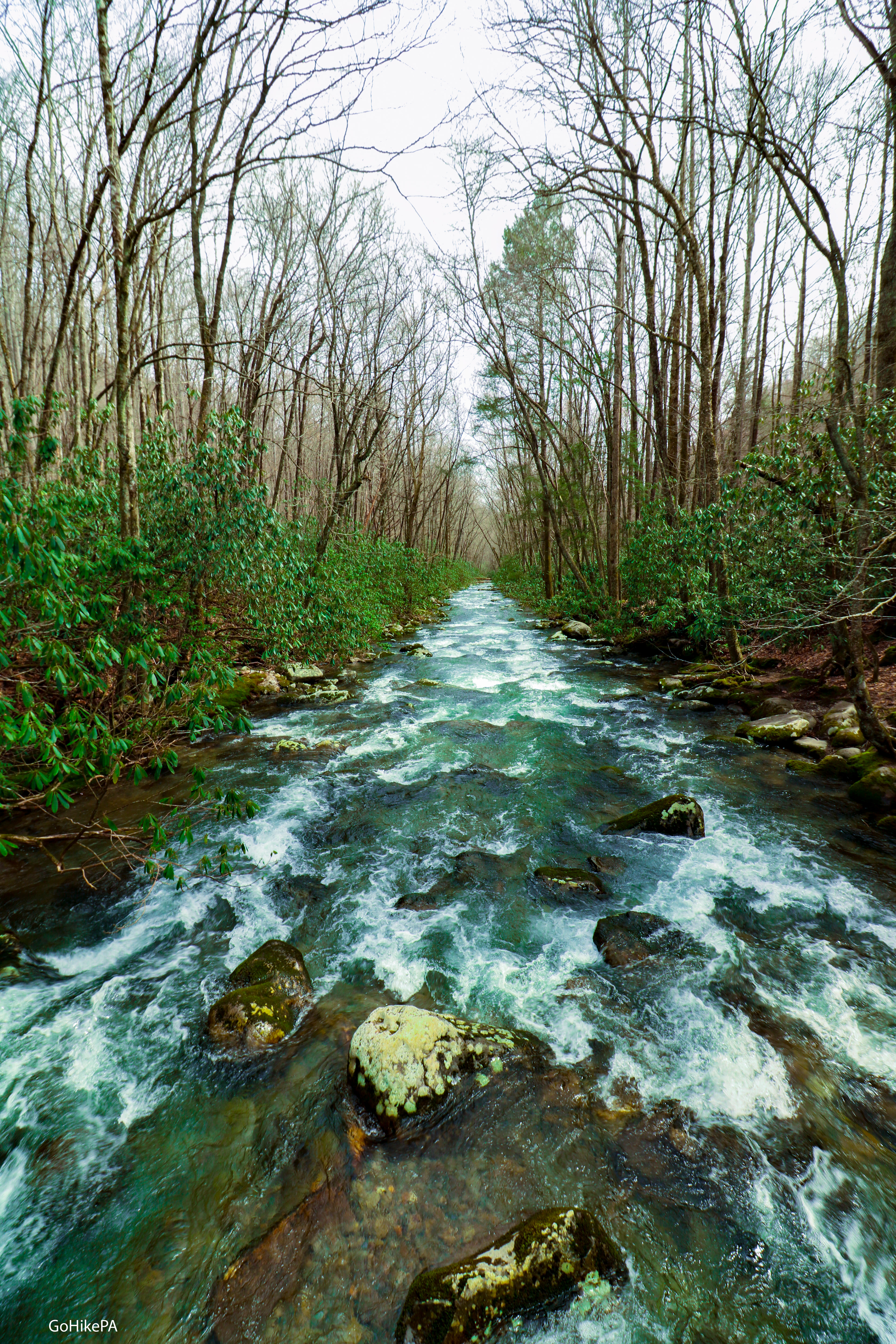 Oconalufftee River