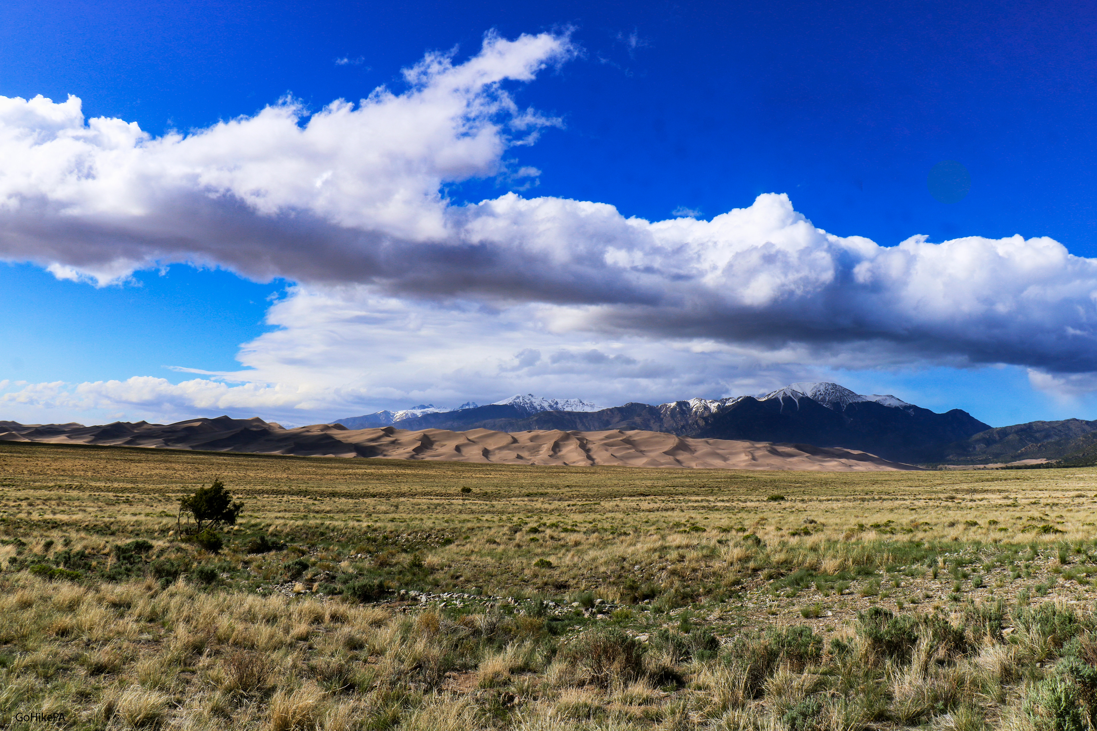 Landscape