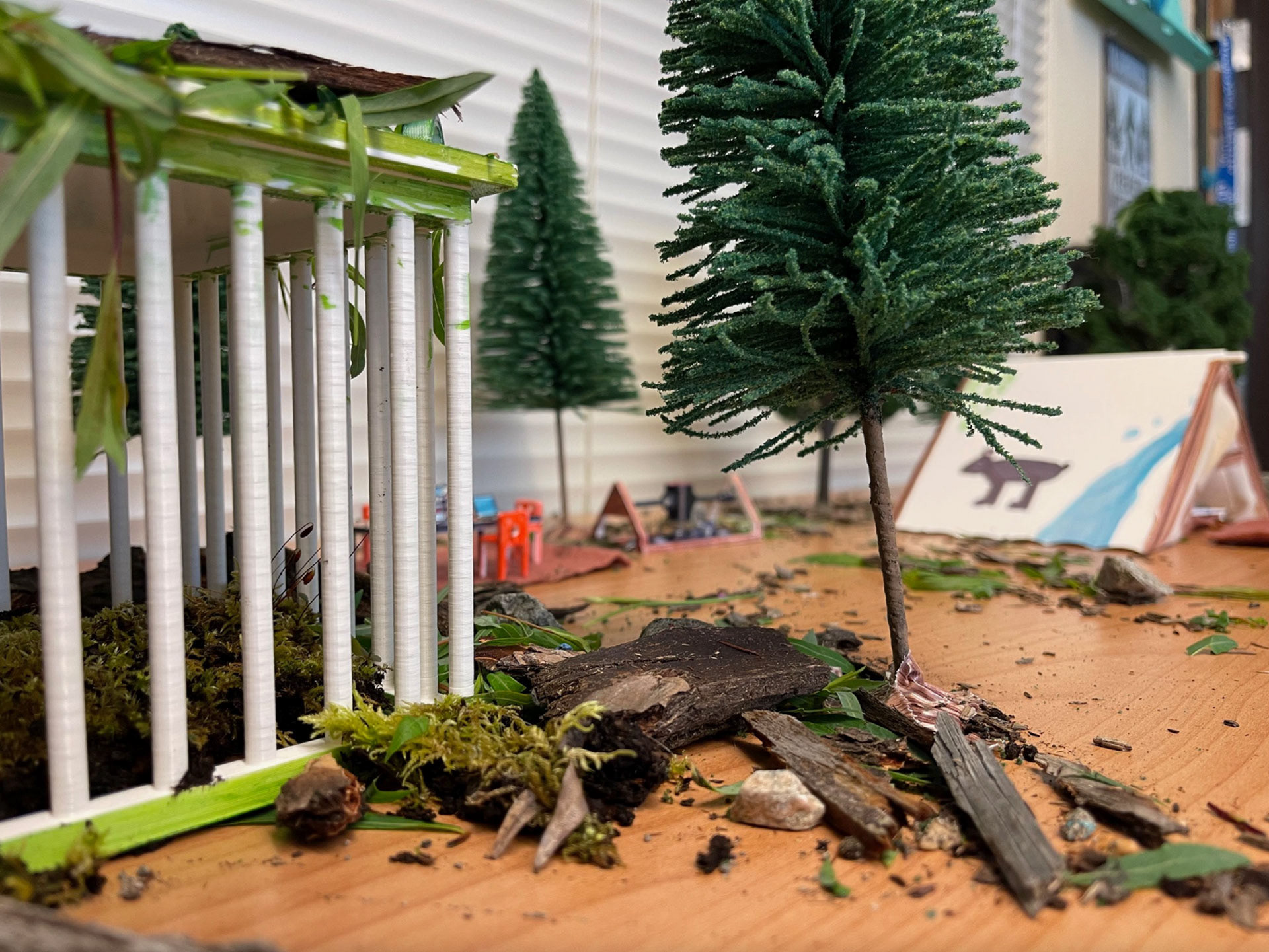 A ground-level view of the now-set-up research camp, cage in-place.