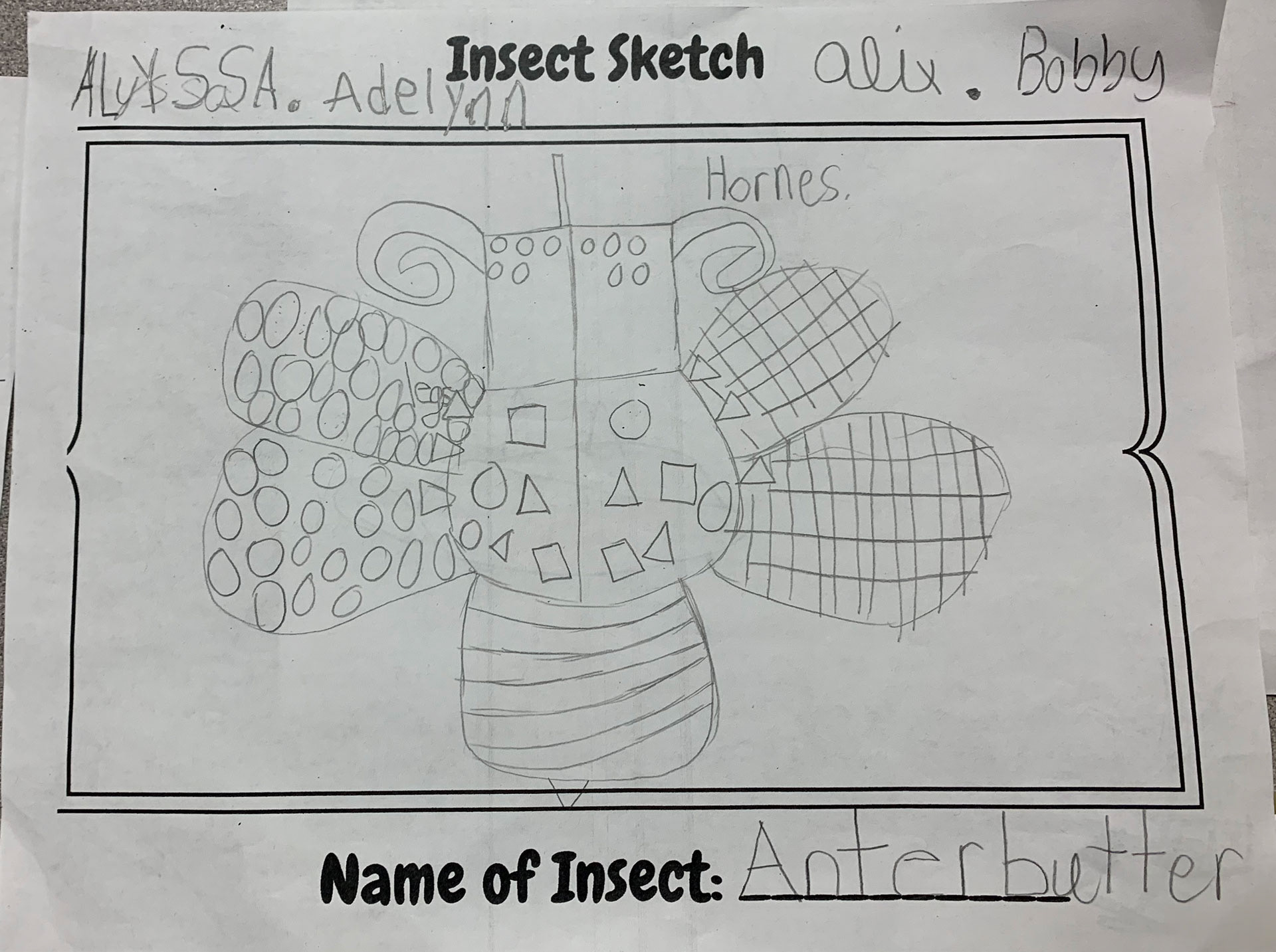 Kid's sketch of the Anterbutter