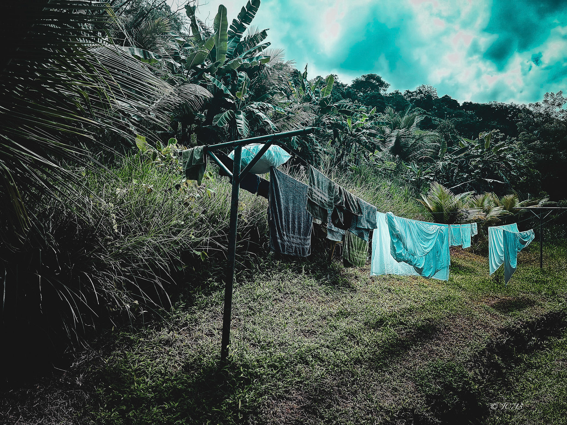 Eco Farm - Dominical - Costa Rica 