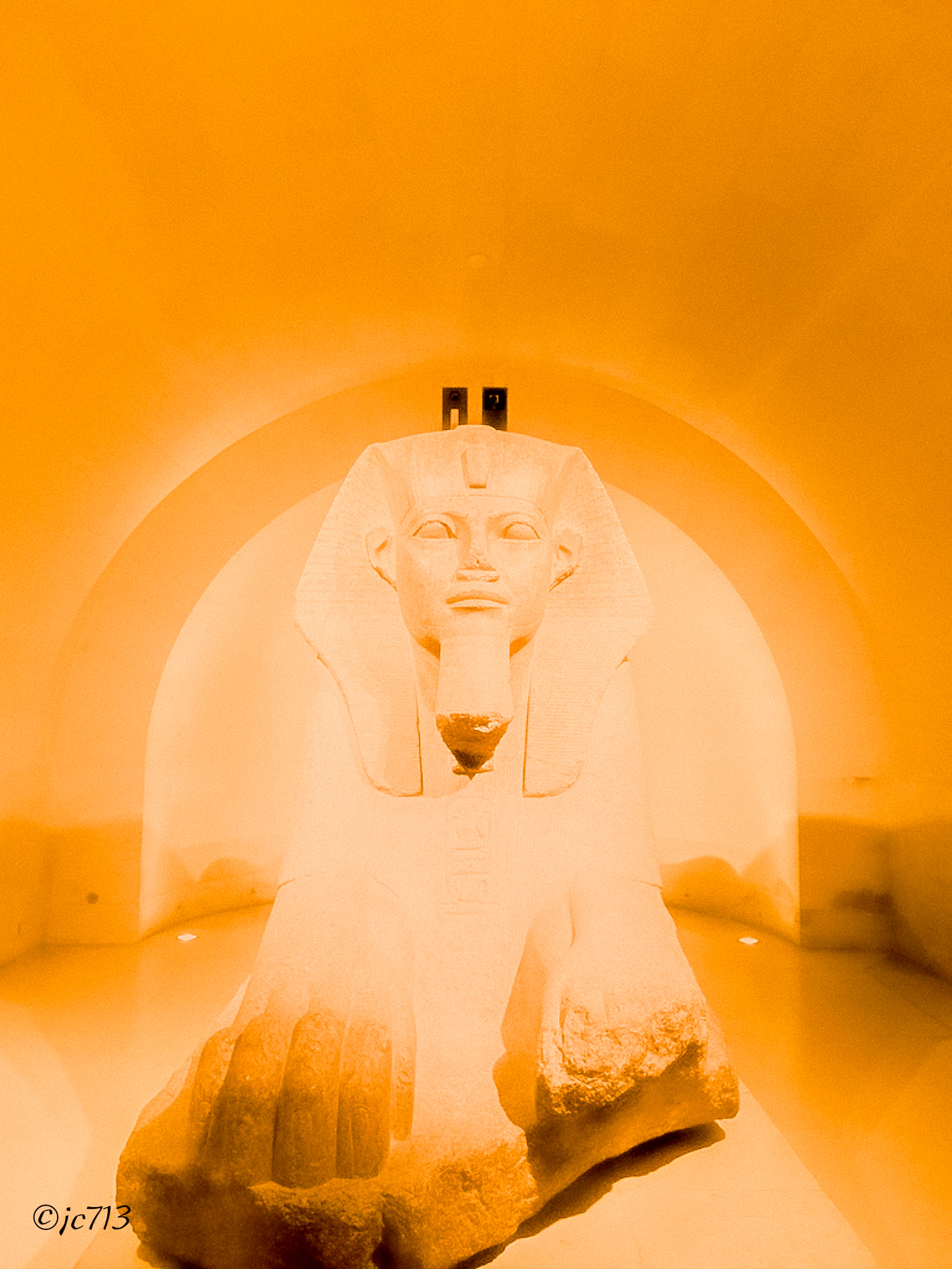 The Great Sphinx of Tanis at the Musée du Louvre - Paris - France