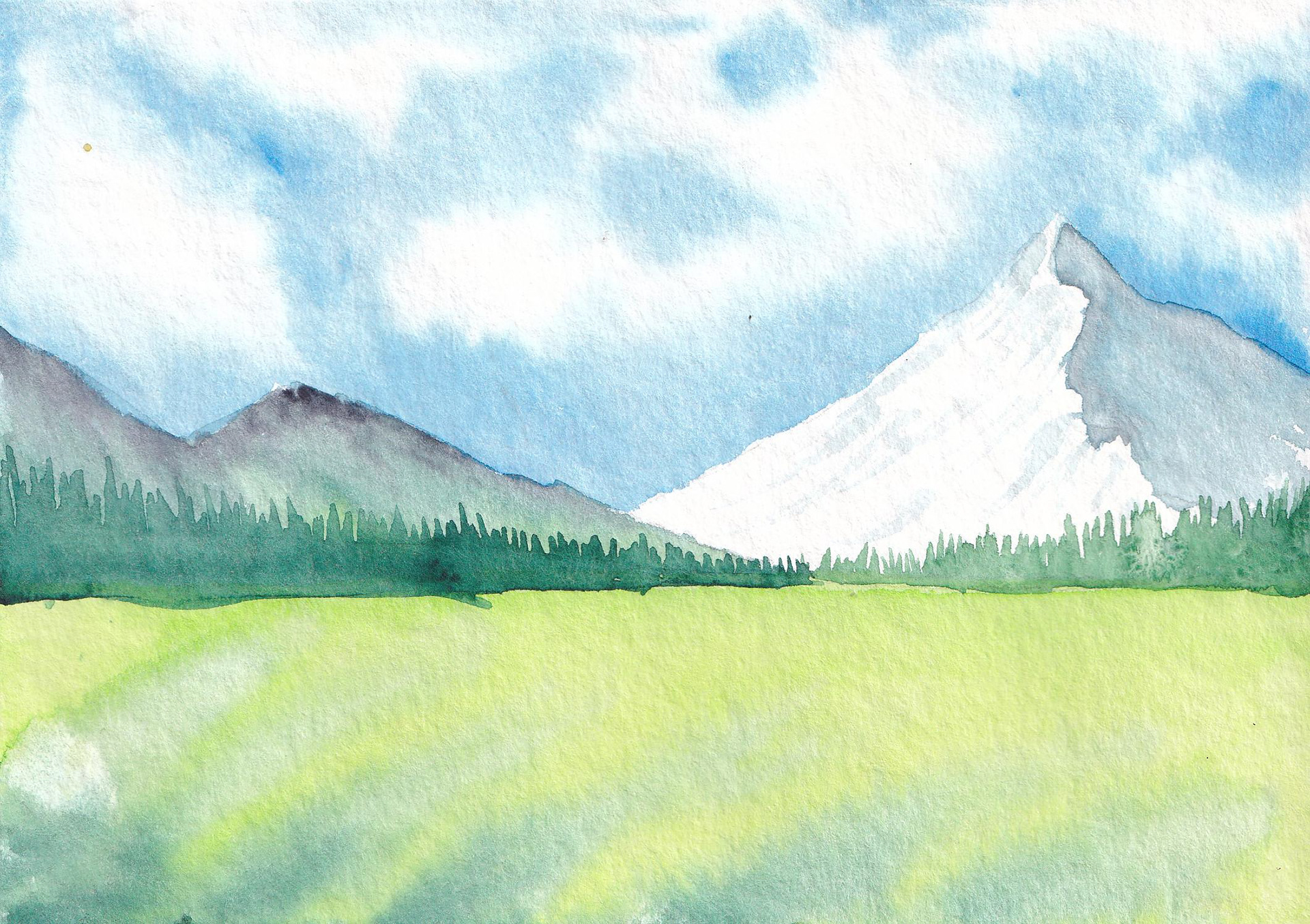 Landscape Study