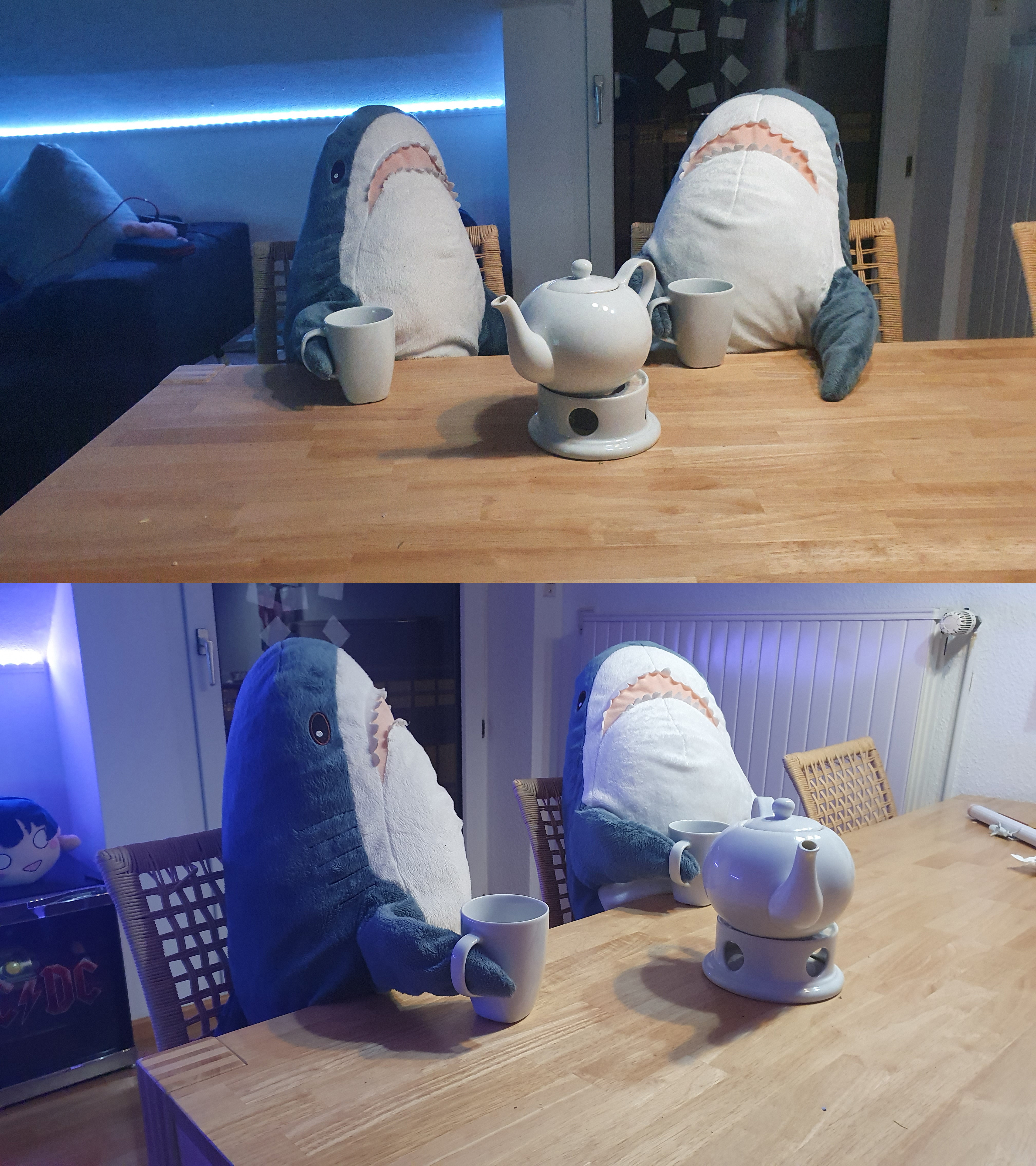 Teaparty sharks
