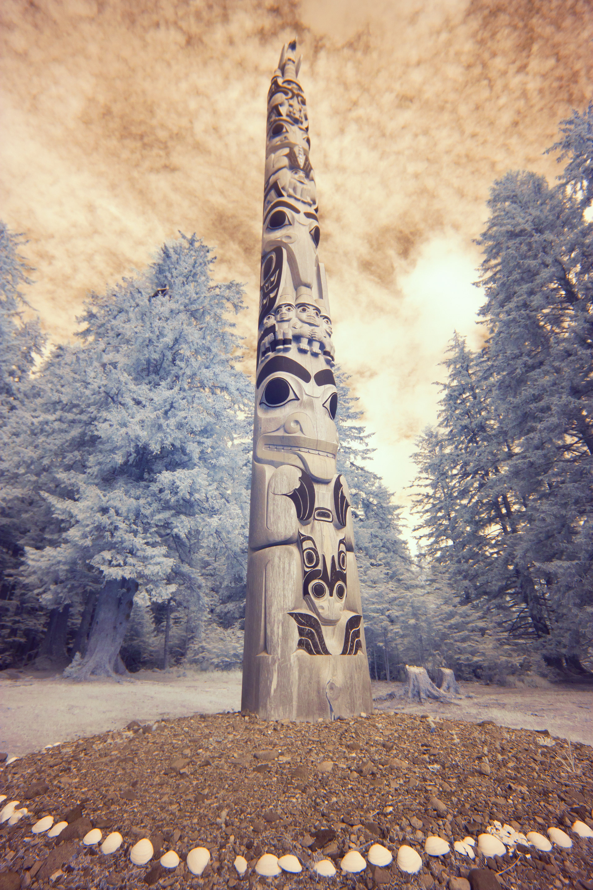 Legacy Pole by Jaalen Edenshaw [2013]
