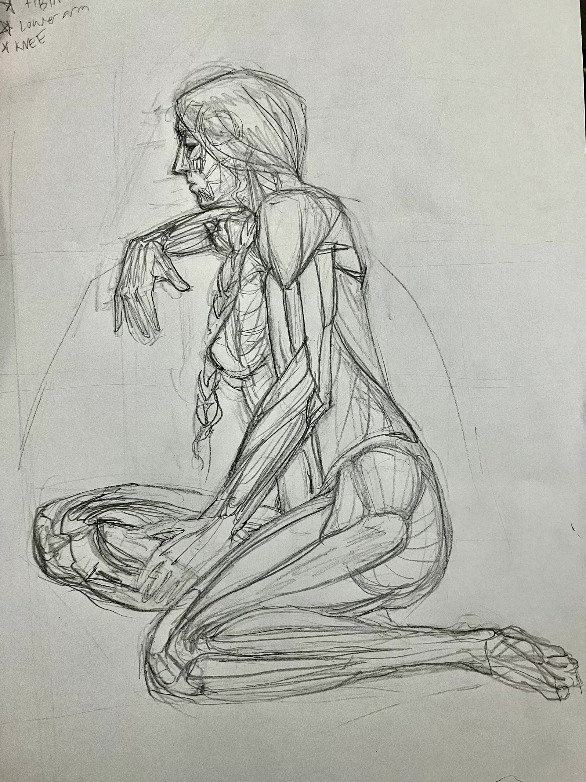 20 minute anatomy practice, 2023