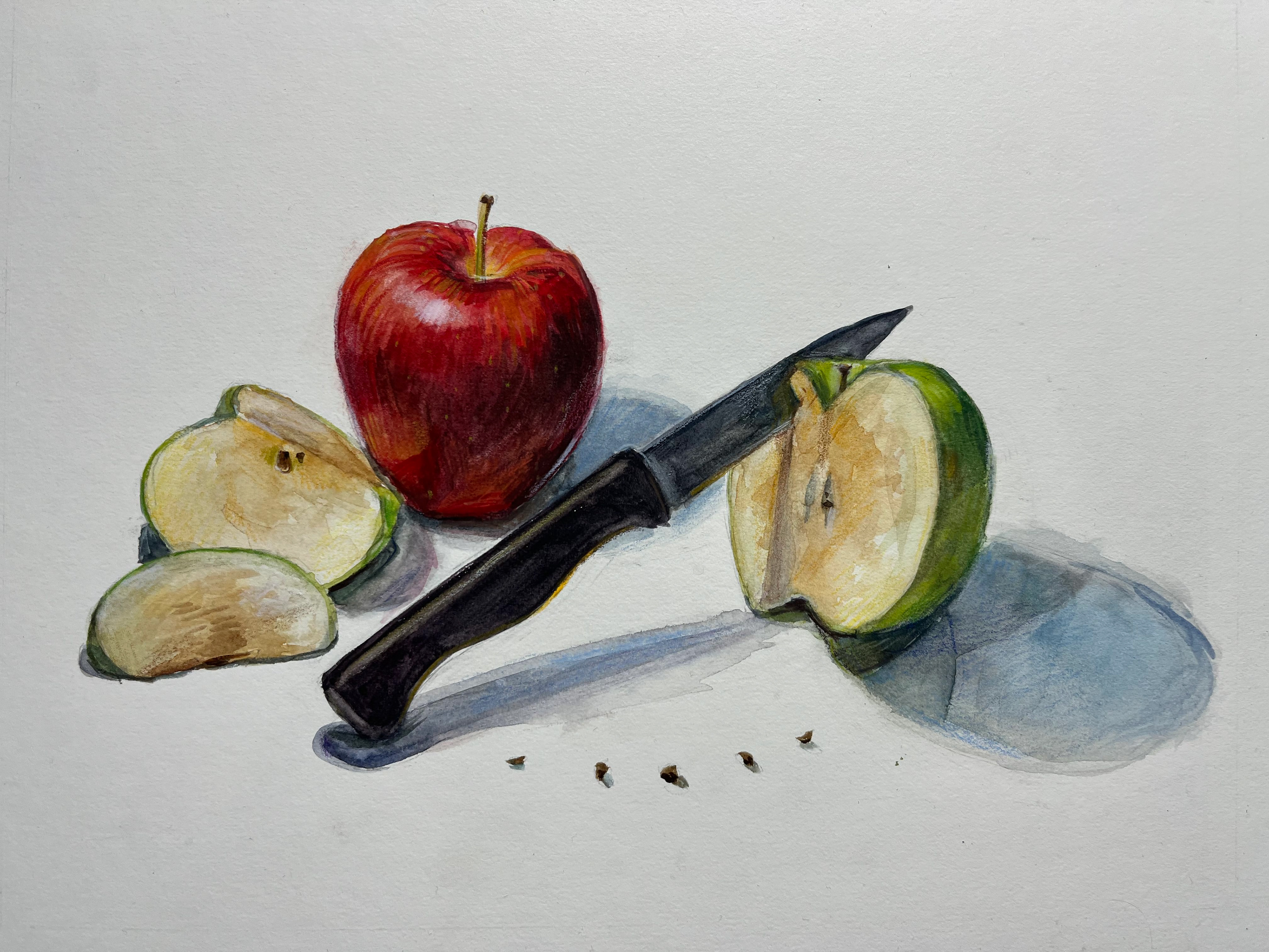 watercolor still life, 2023