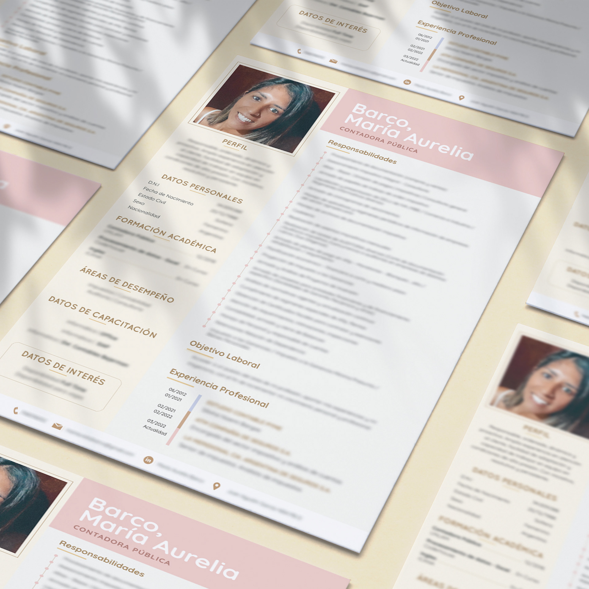 Diseño Personalizado de Currículum Vitae