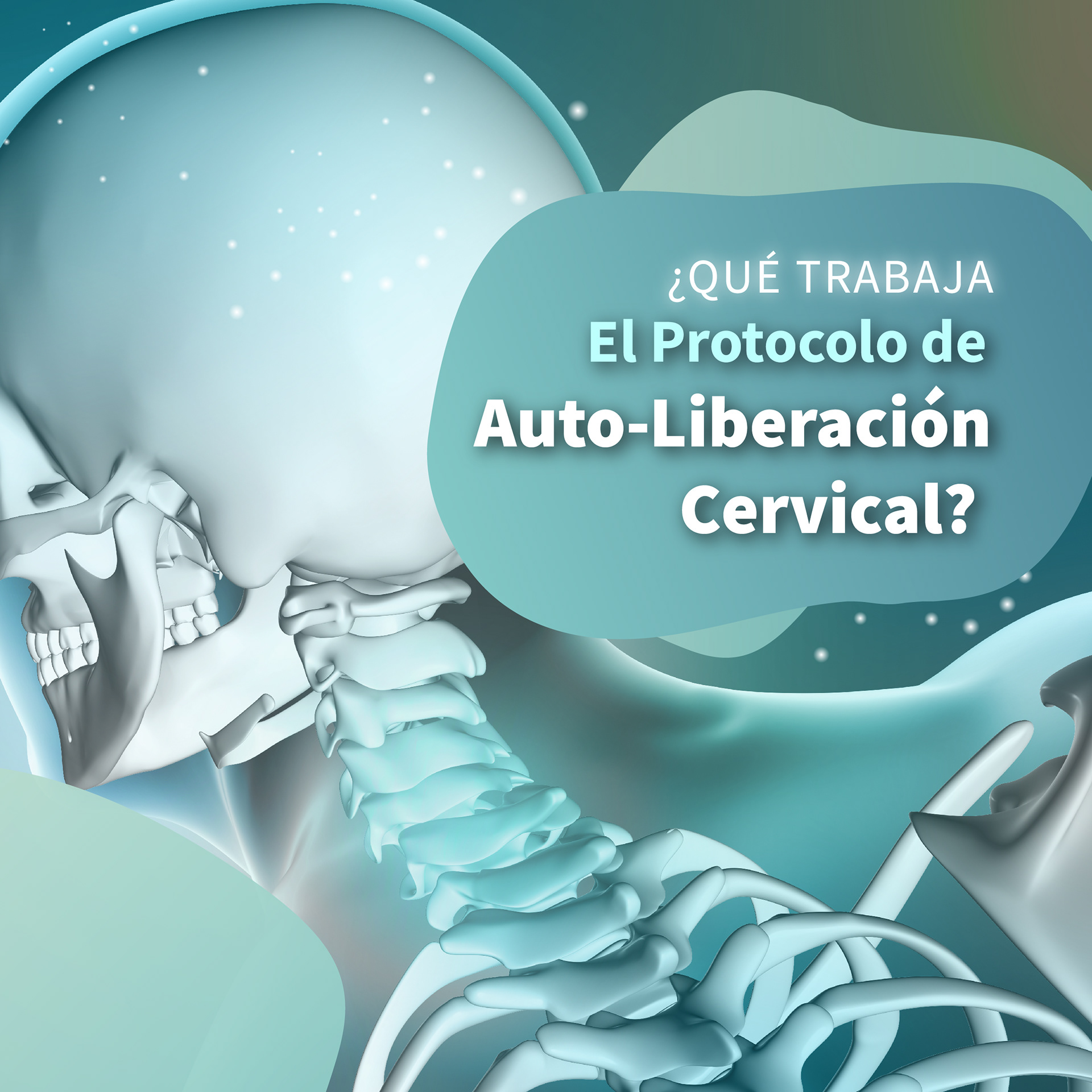 Diseño de Placa para Reeducación Sistémica Corporal - Villa Gesell - www..elmetodorsc.com