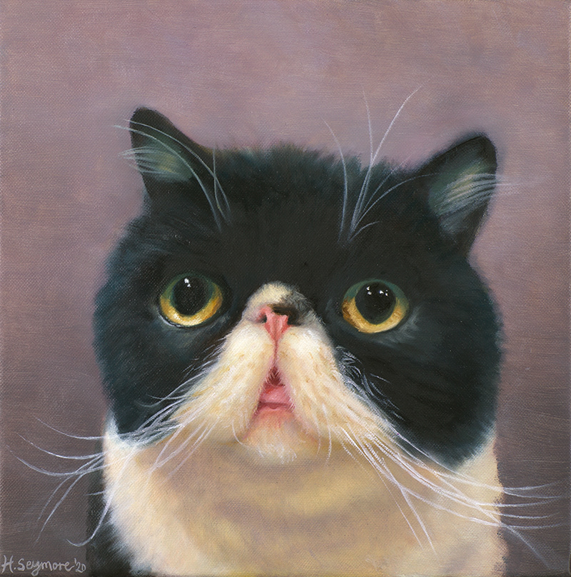 MUJI SUPERCAT (12x12", oil on canvas)