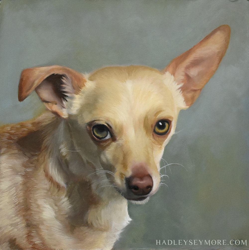 OWIE (8x8", oil on panel)