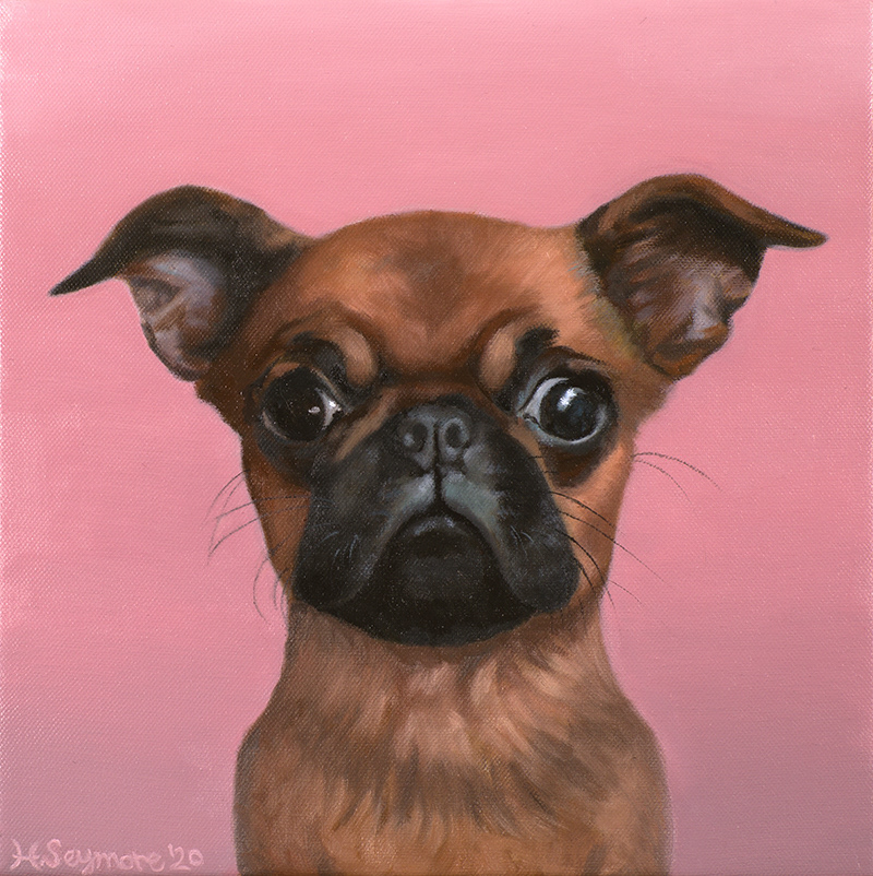 JUDY (12x12", oil on canvas)