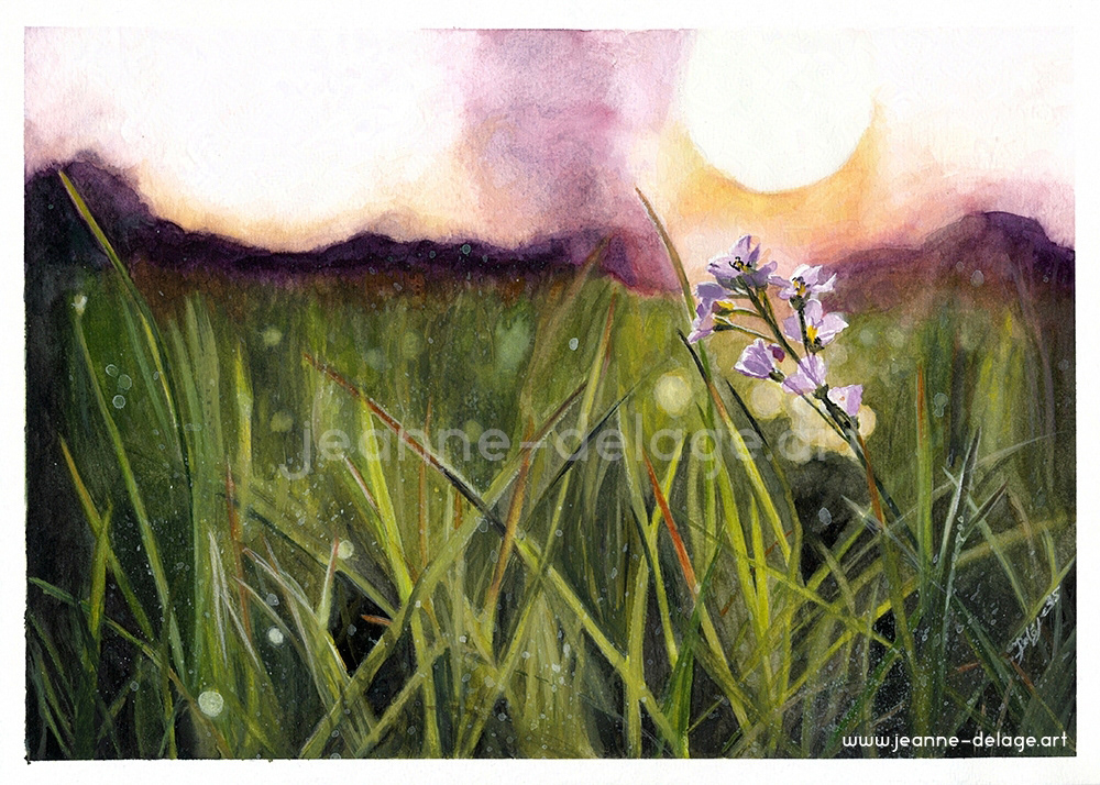 A violet wildflower in a field of grass is highlighted by the sun in the background