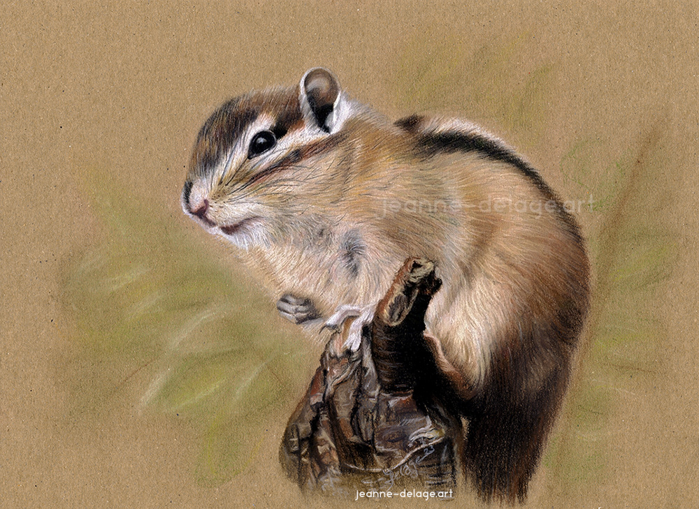 Chipmunk | Pastel
